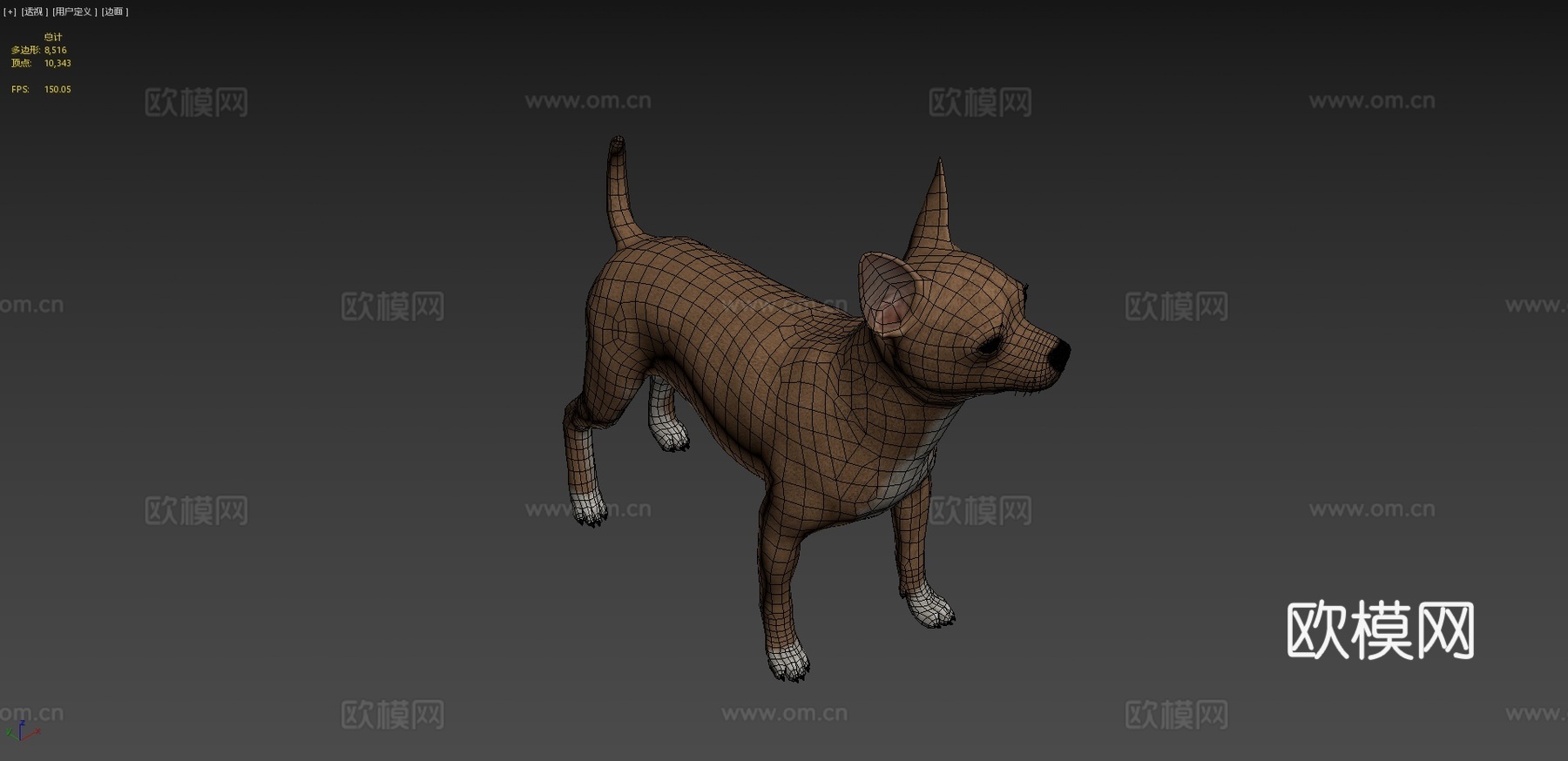 吉娃娃3d模型