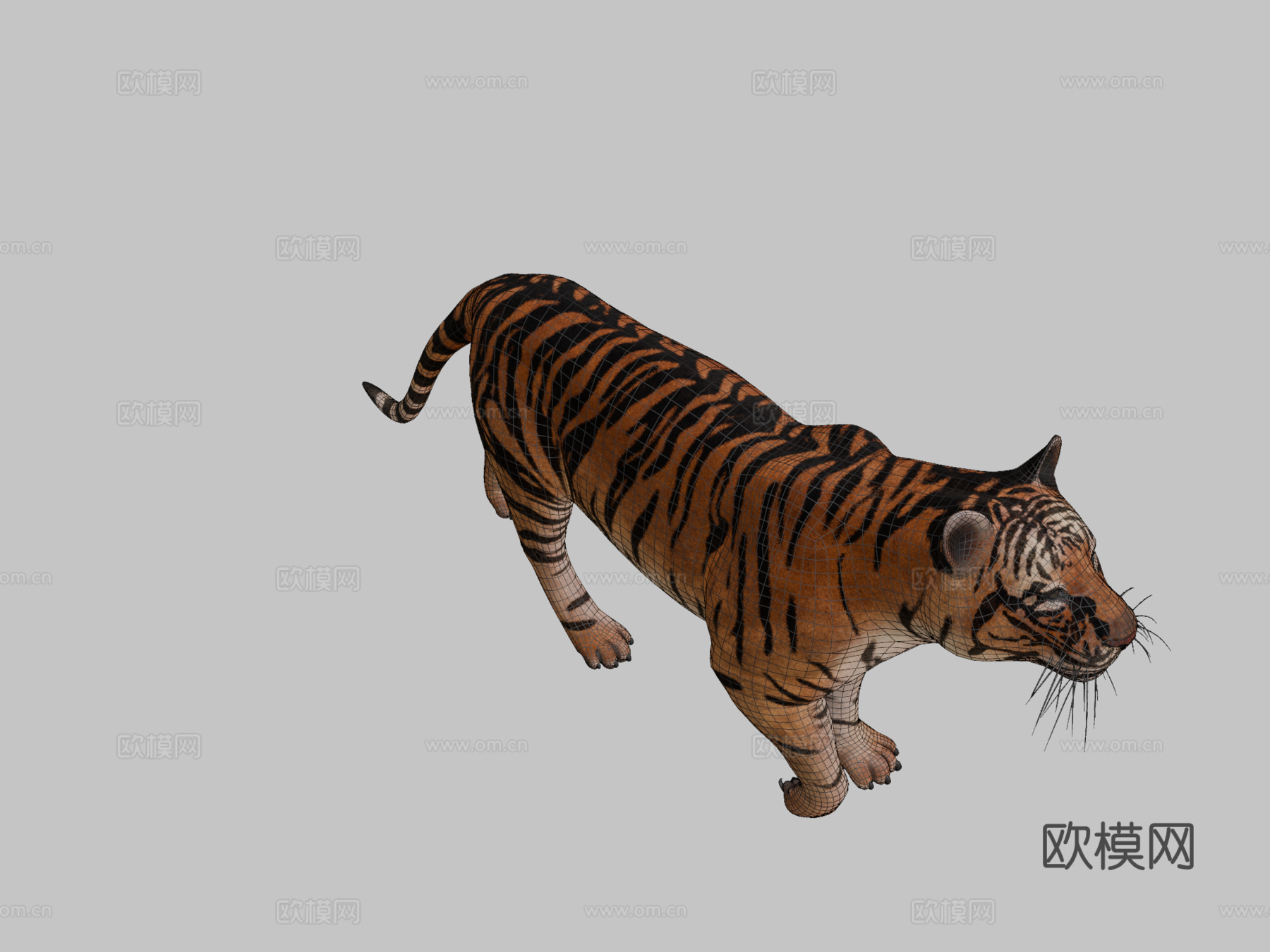 老虎3d模型