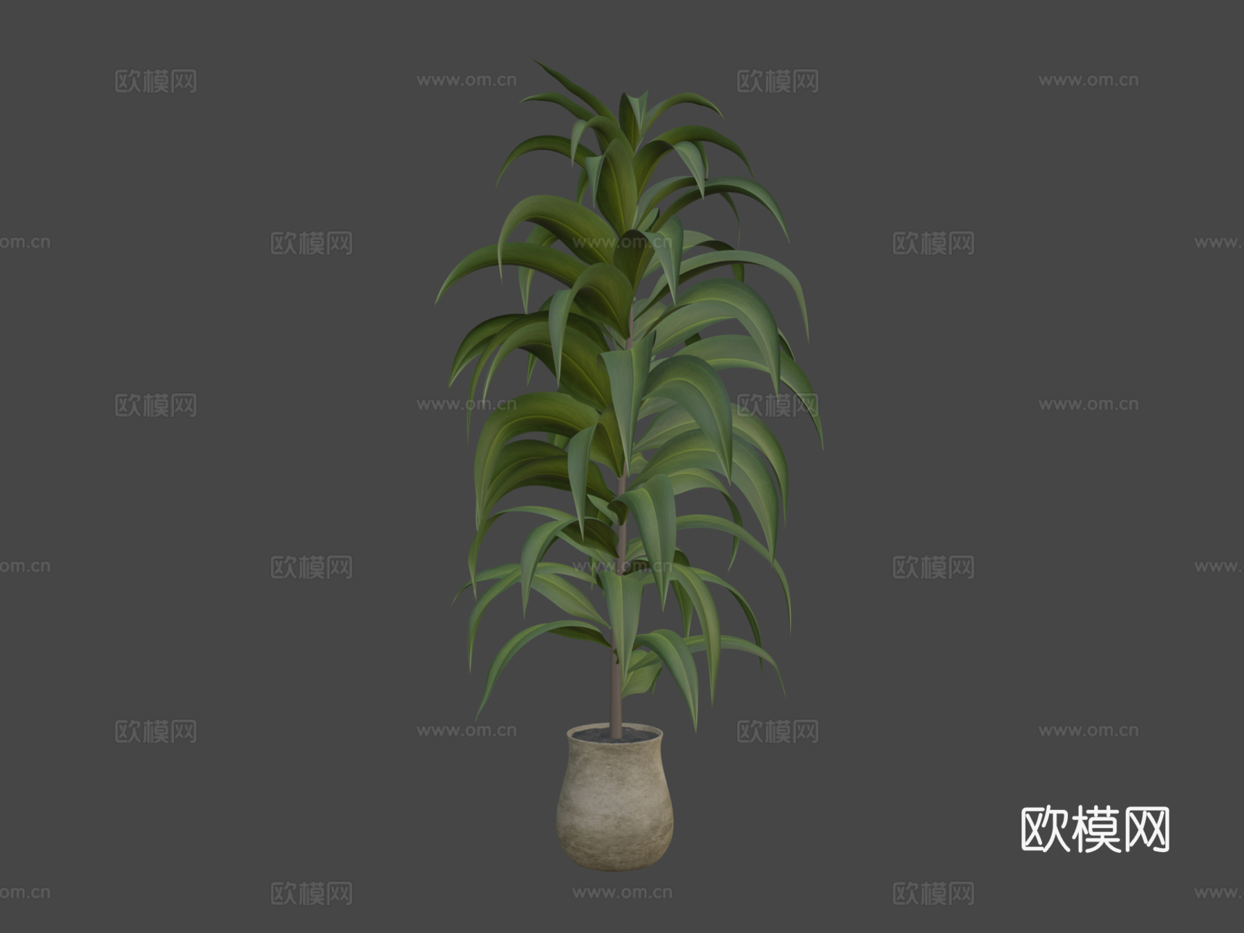 植物3d模型