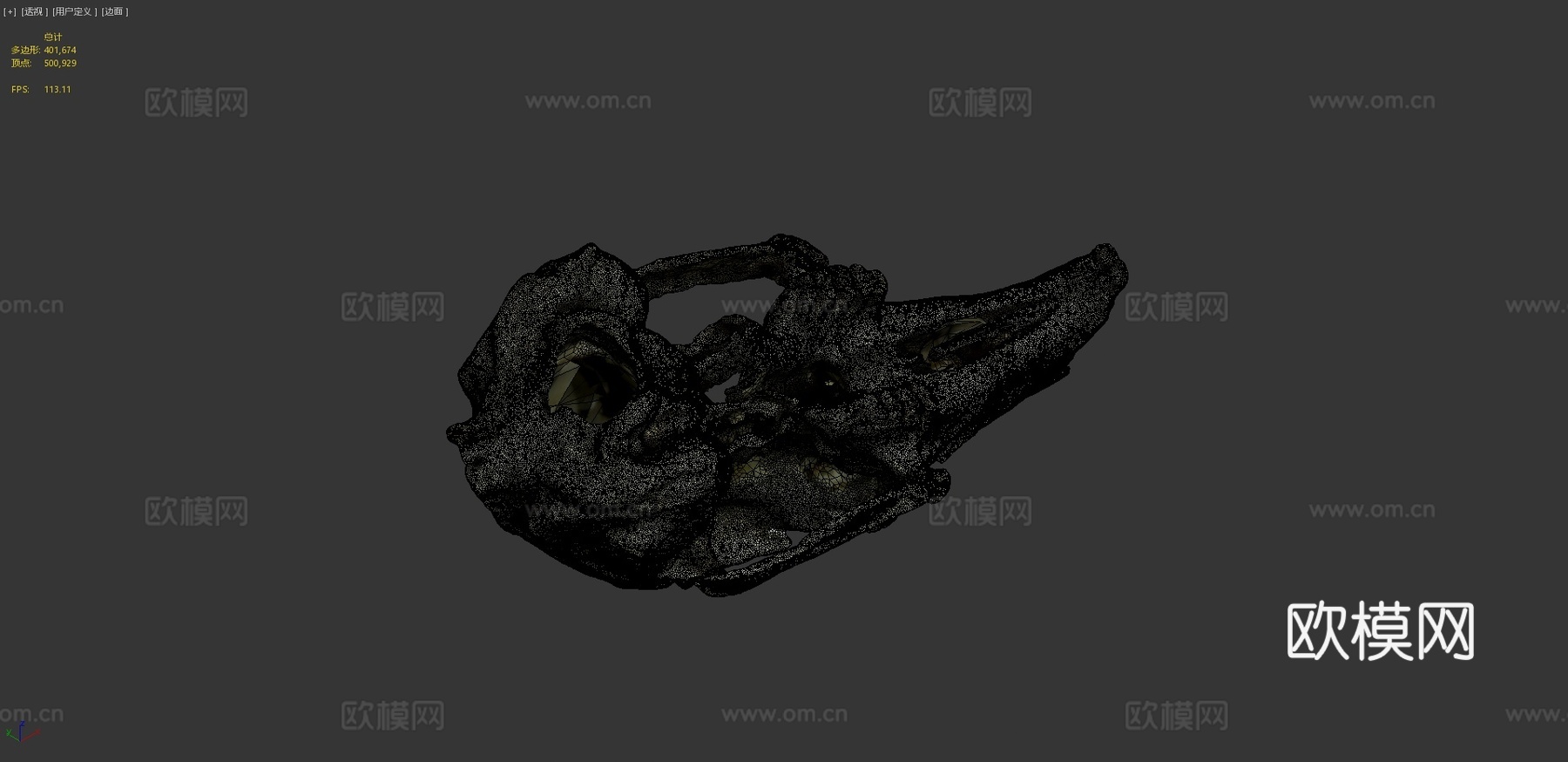 兔头骨摄影测量法3d模型