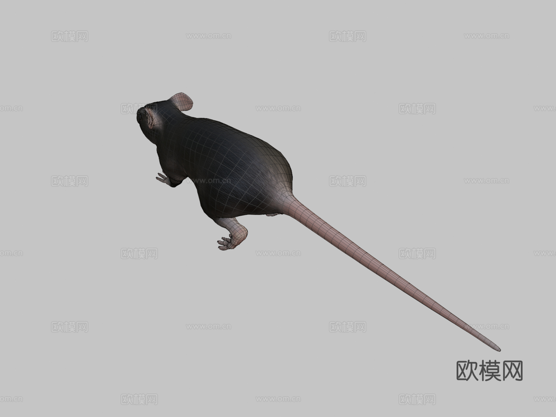 老鼠3d模型