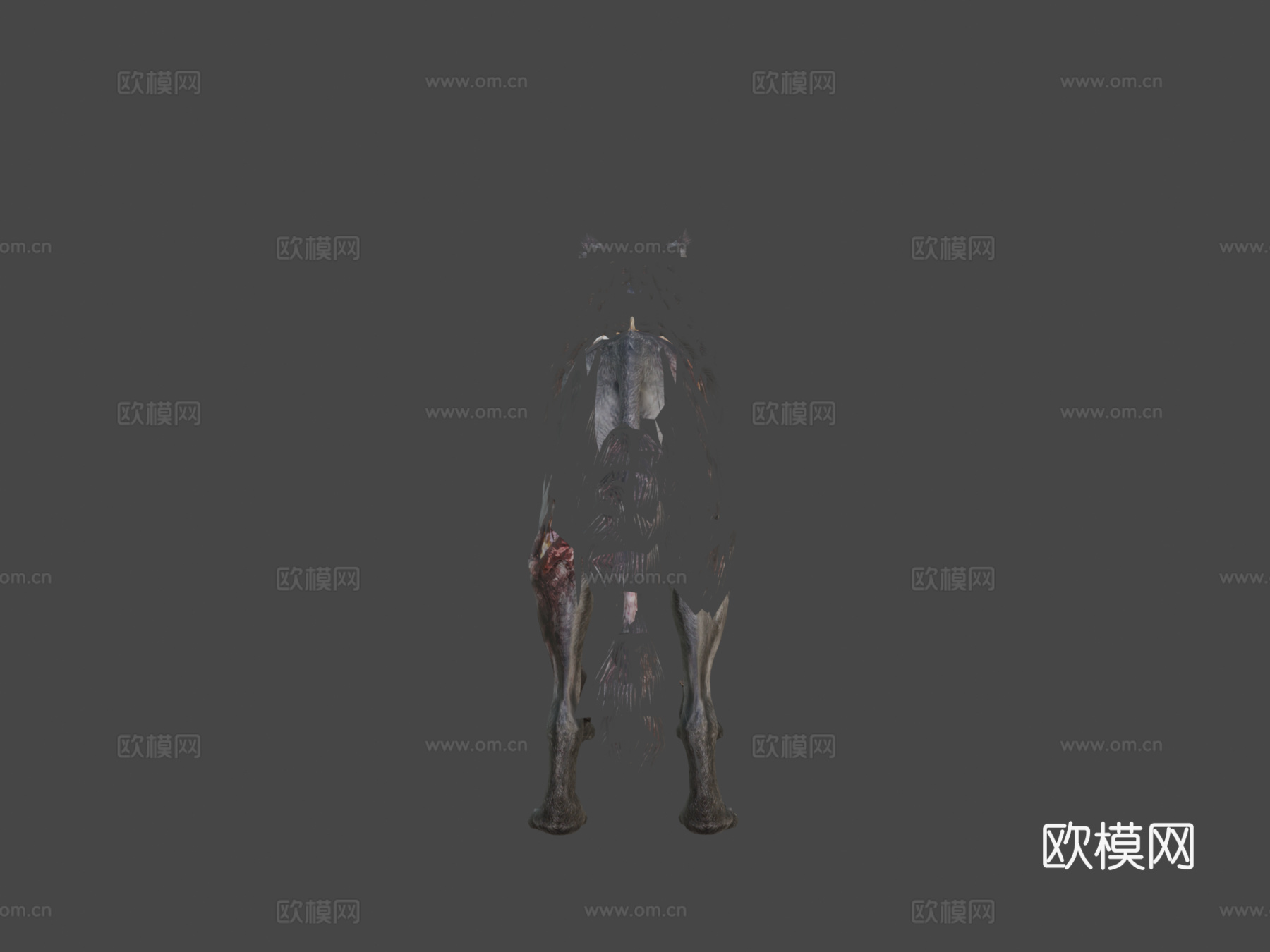 使命召唤-幽灵的地狱犬3d模型