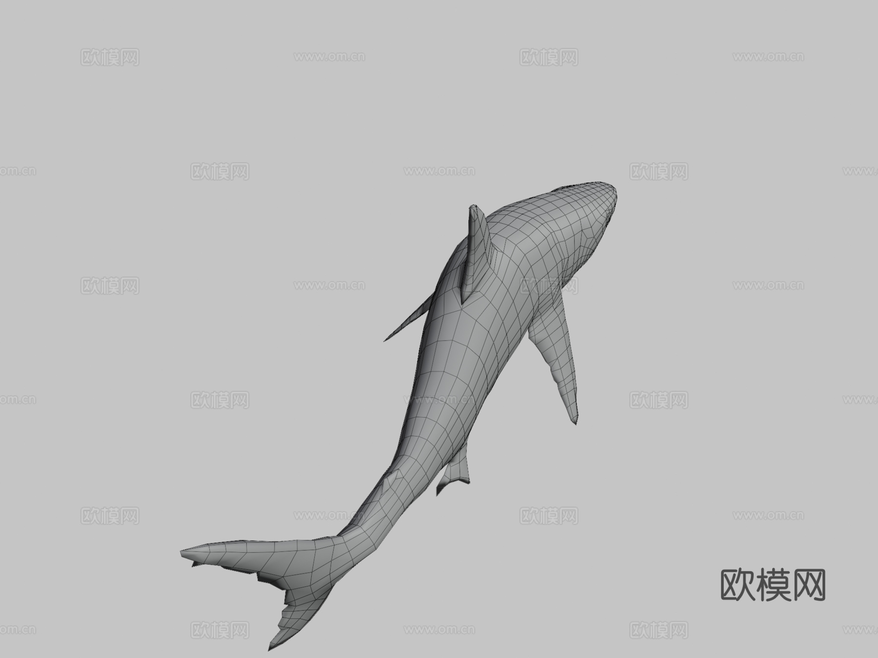 强大巨齿鲨3d模型