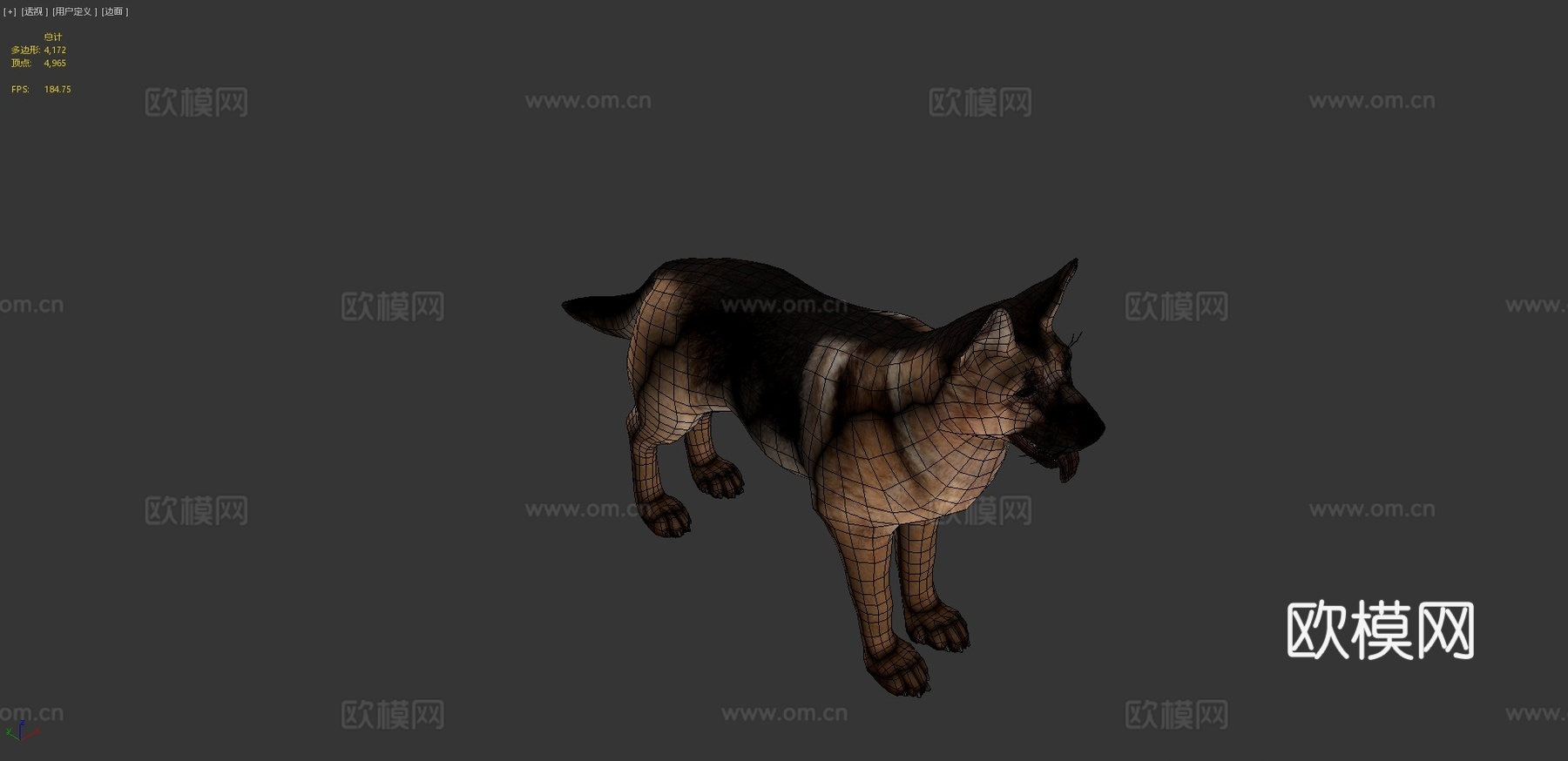 狗-牧羊犬3d模型