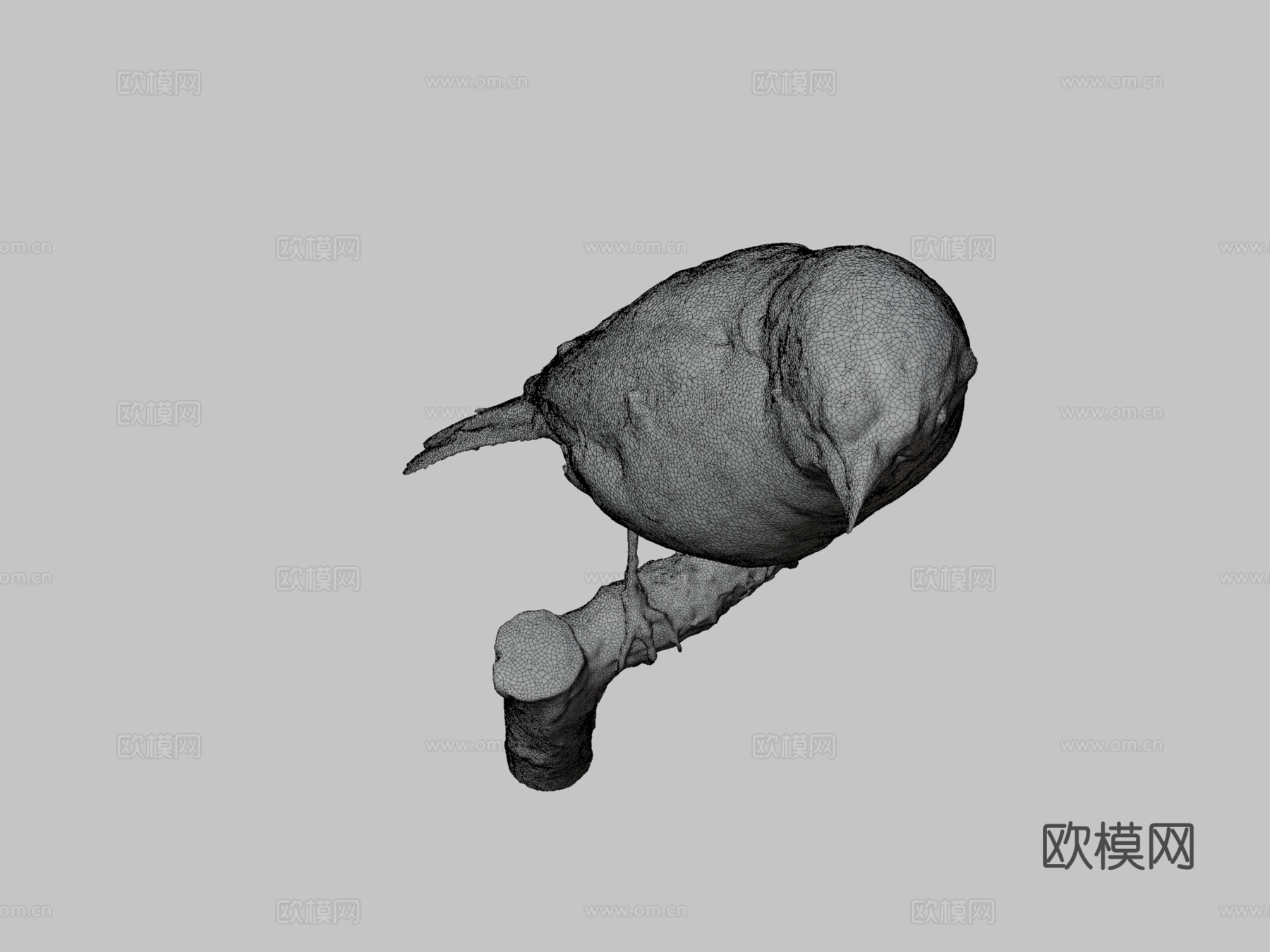 黍鹀(数字自然历史档案(DiNArDa))3d模型