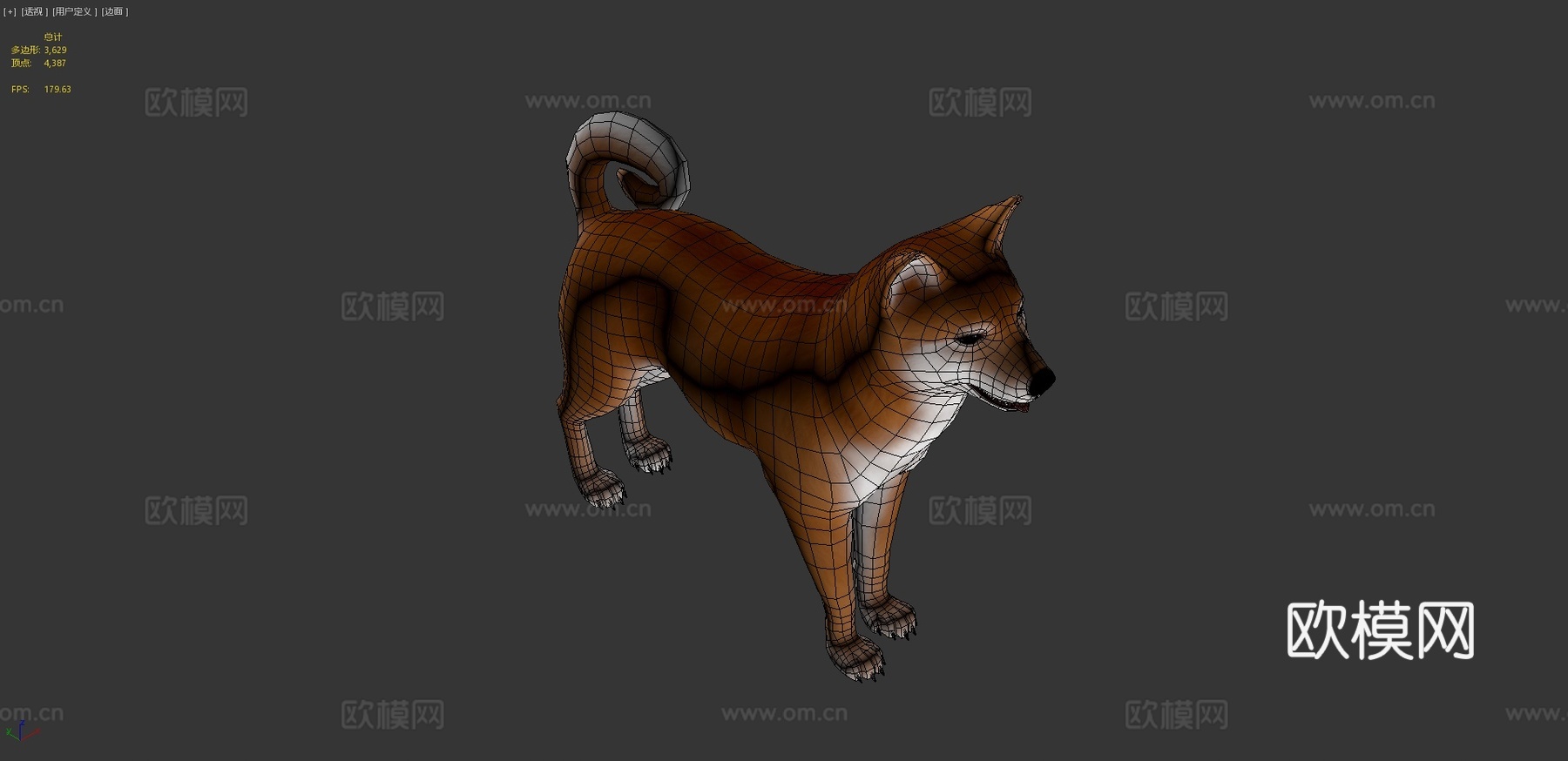 柴犬3d模型