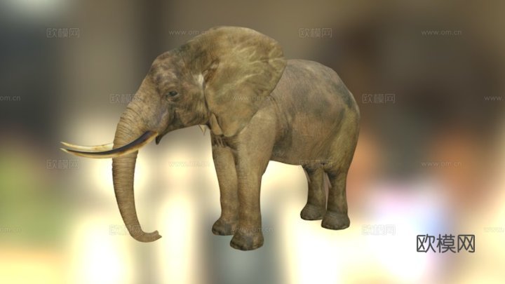 大象3d模型