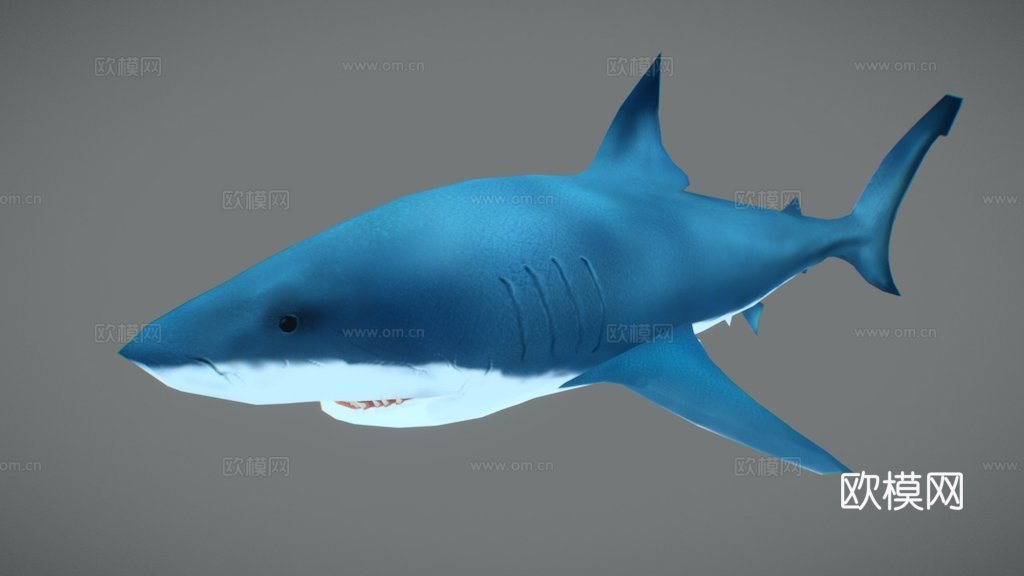 雀巢AR鲨鱼3d模型