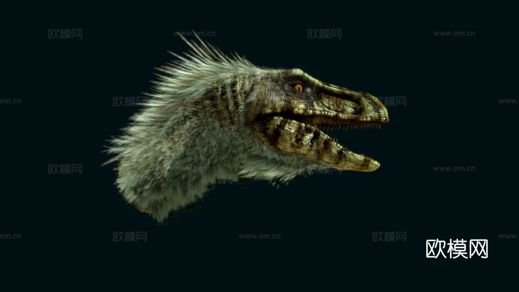 迅猛龙头部测试3d模型