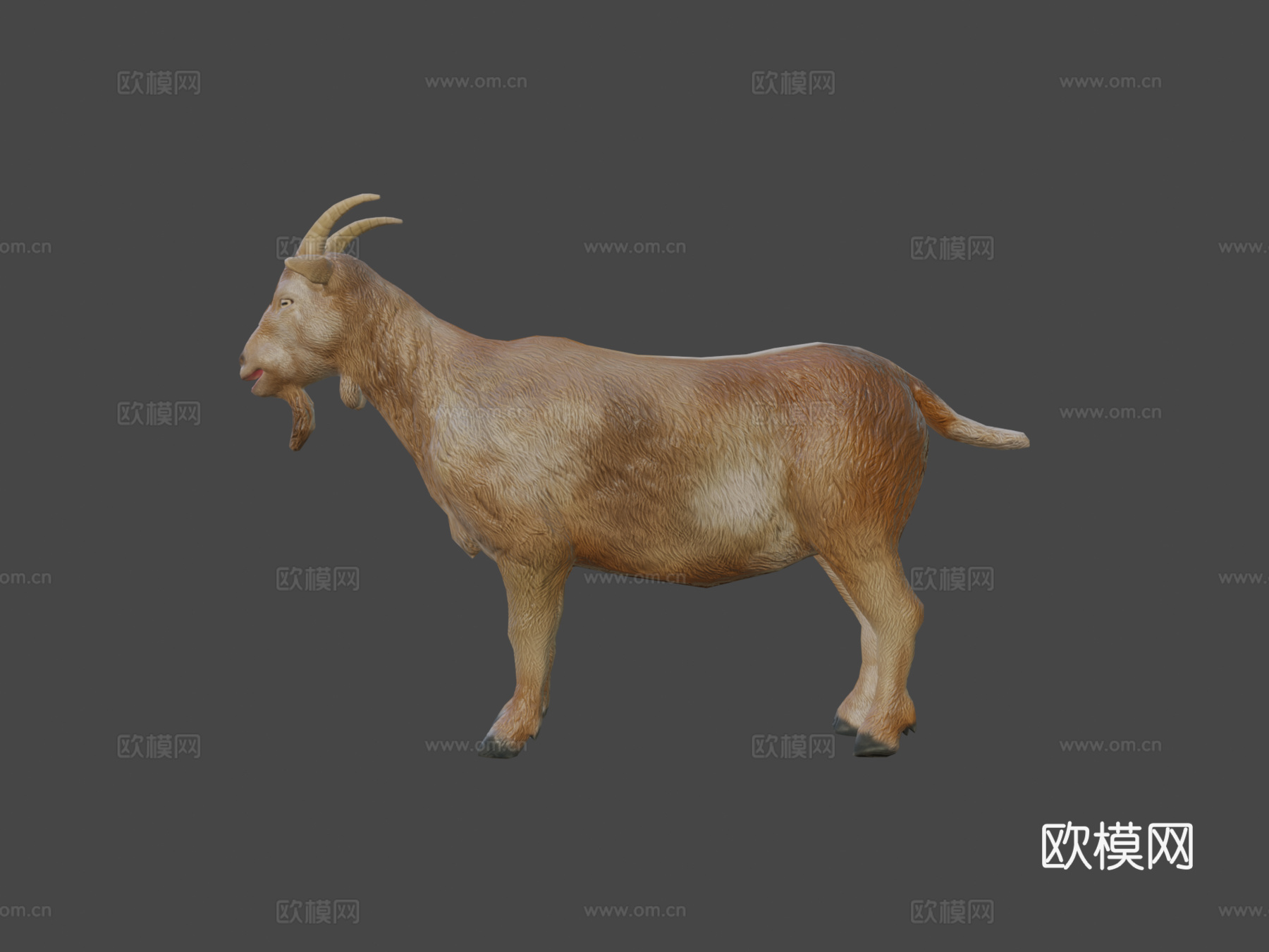 山羊动画3d模型
