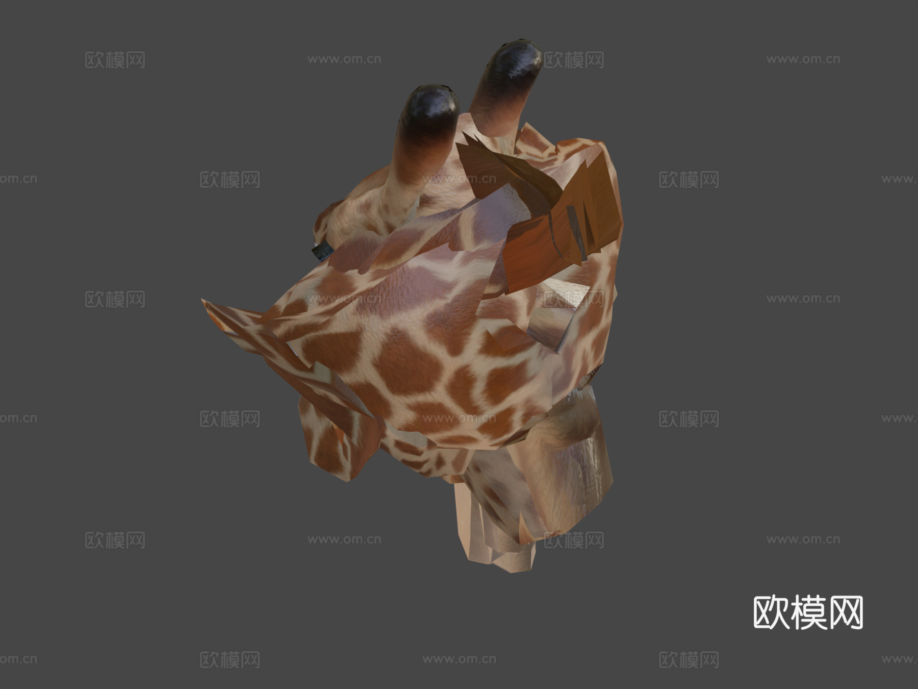 动画长颈鹿3d模型