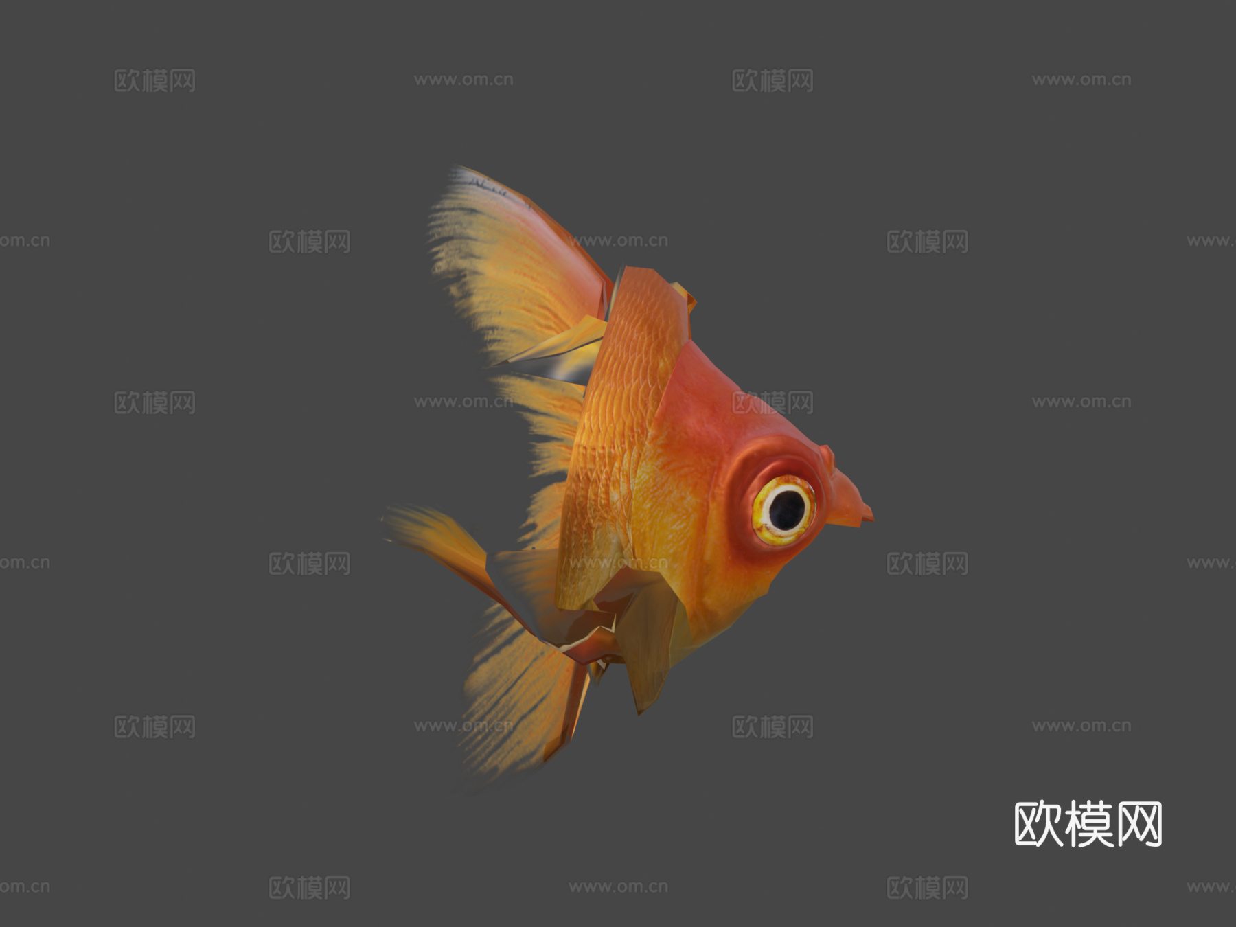金鱼3D，低多边形3d模型