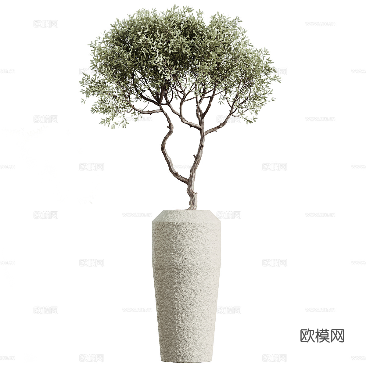 新中式侘寂绿植盆栽3d模型