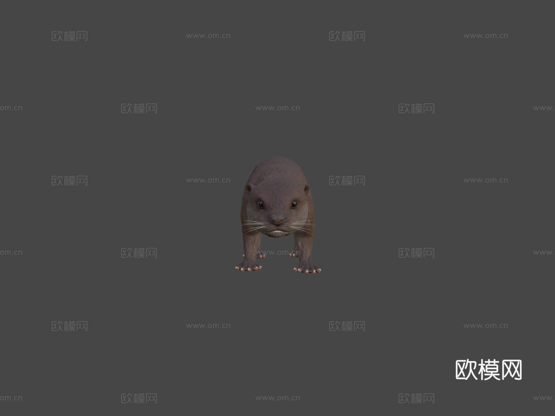 水獭3d模型