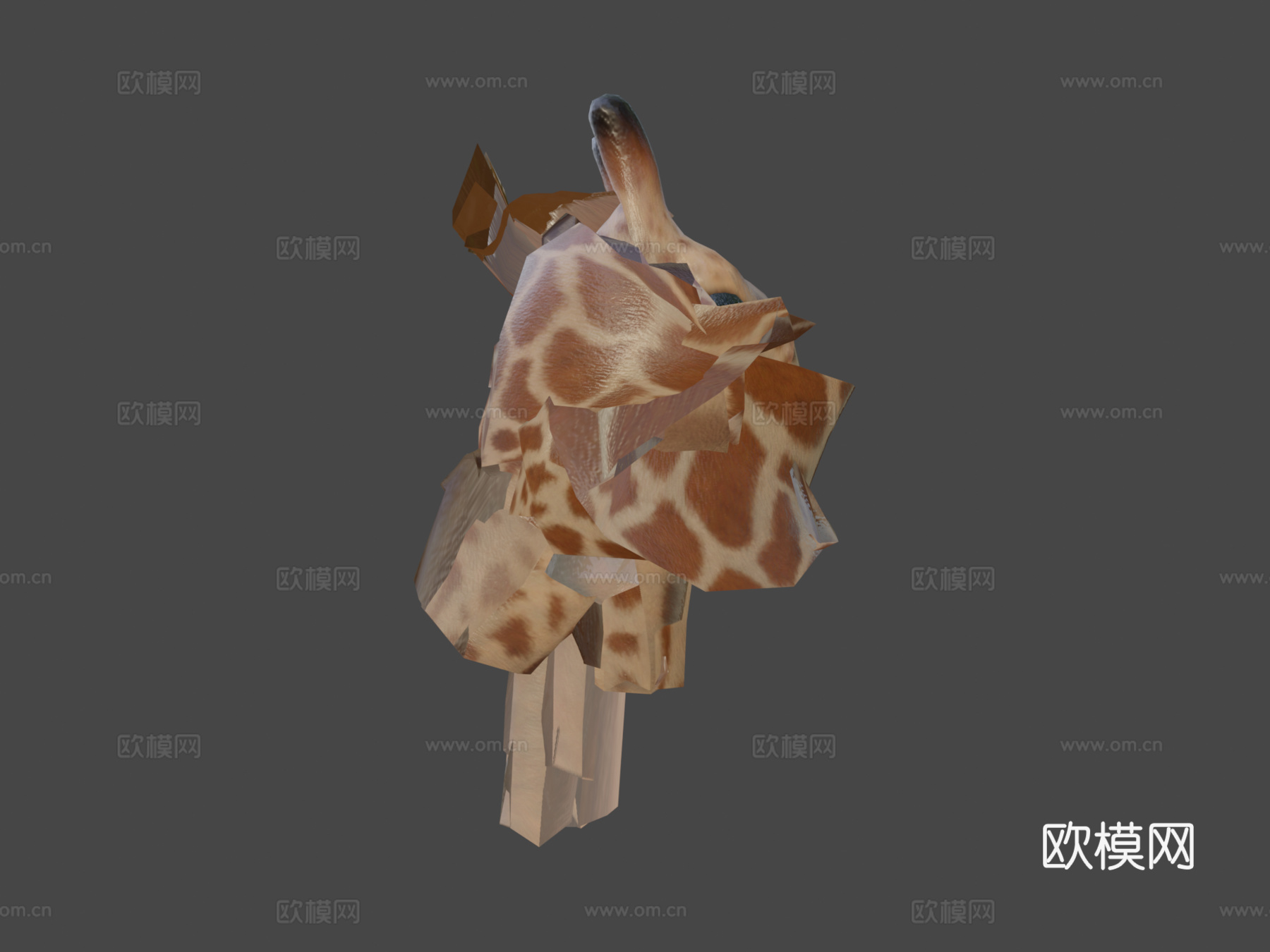 动画长颈鹿3d模型