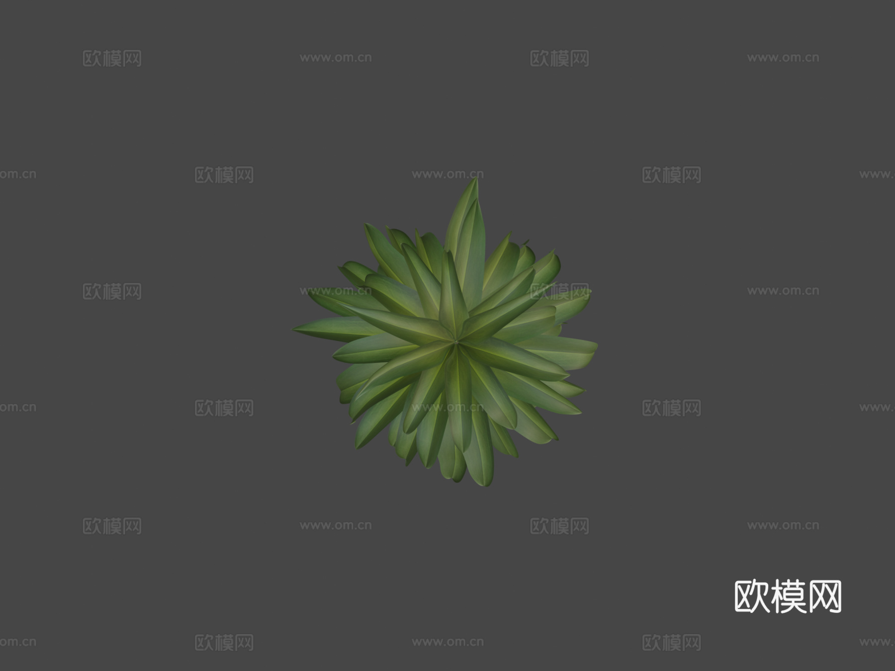 植物3d模型
