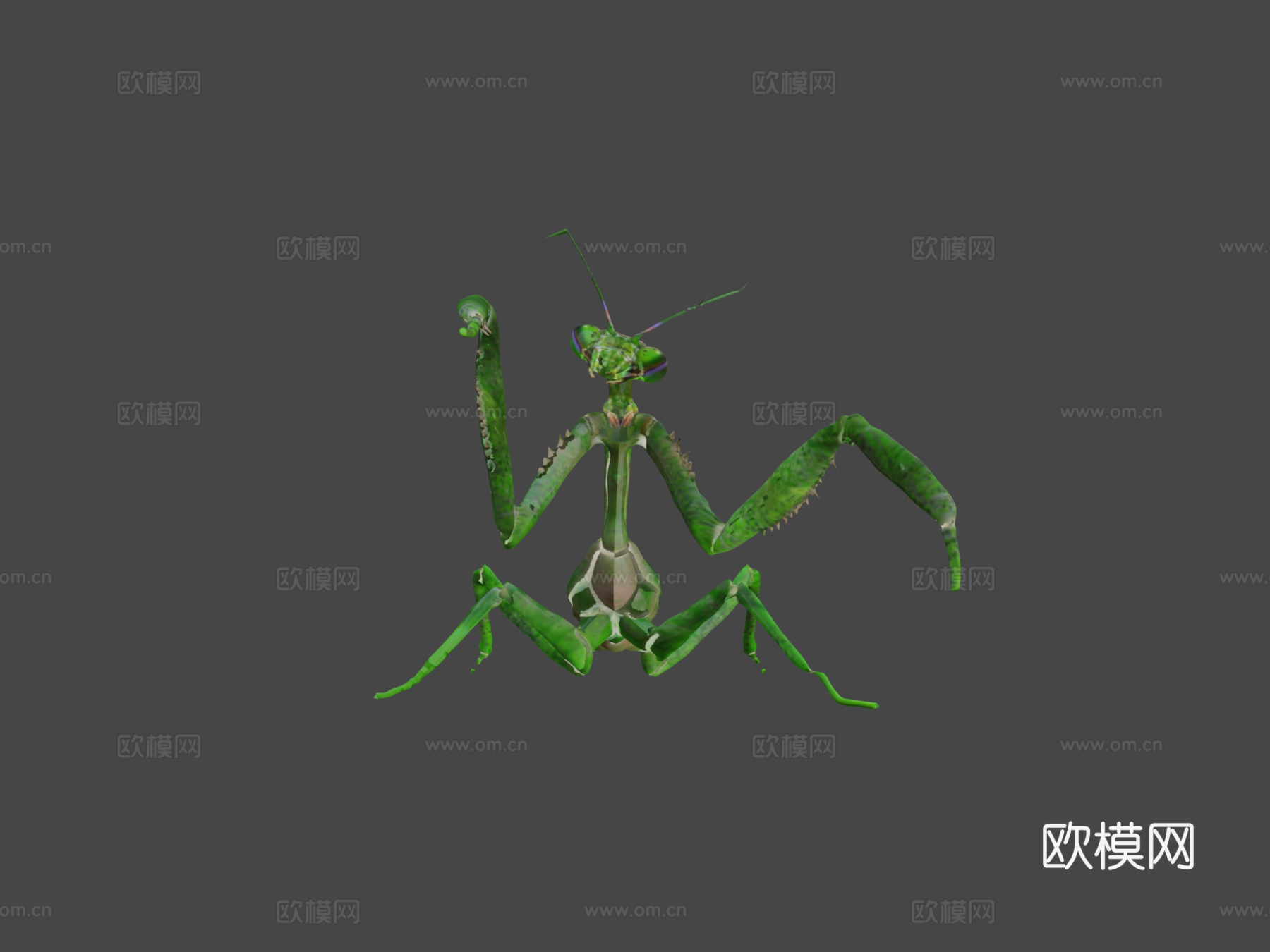 螳螂3d模型