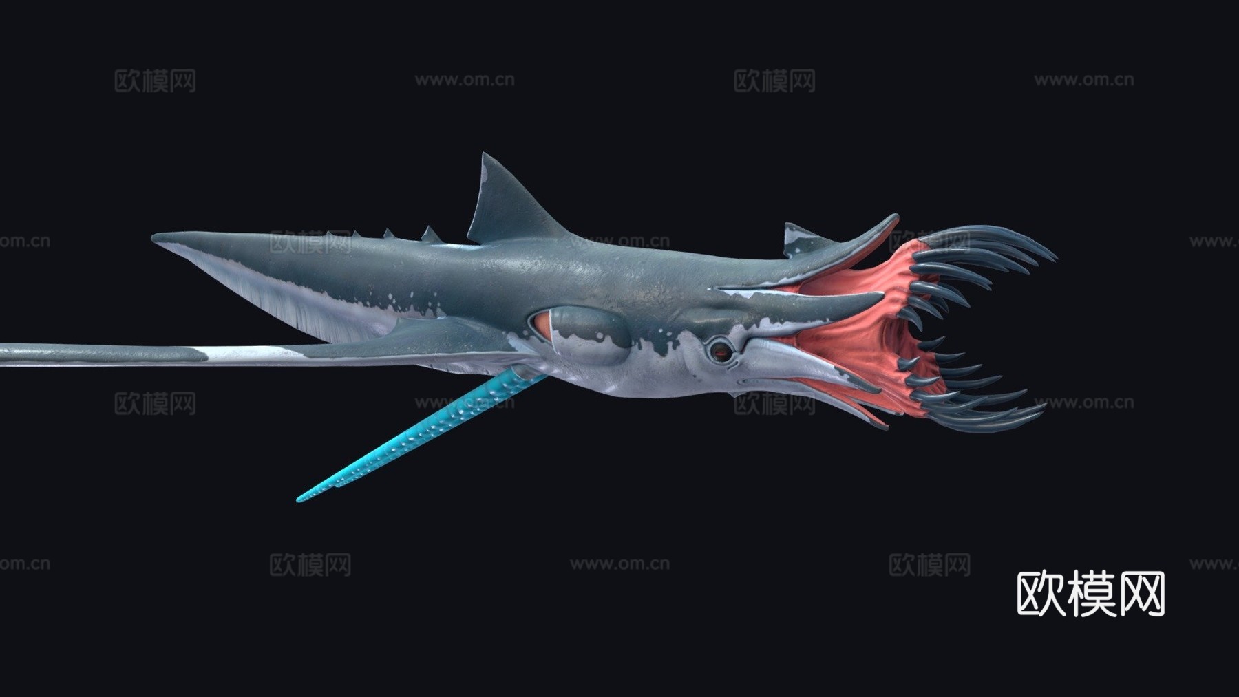 鱿鱼鲨3d模型