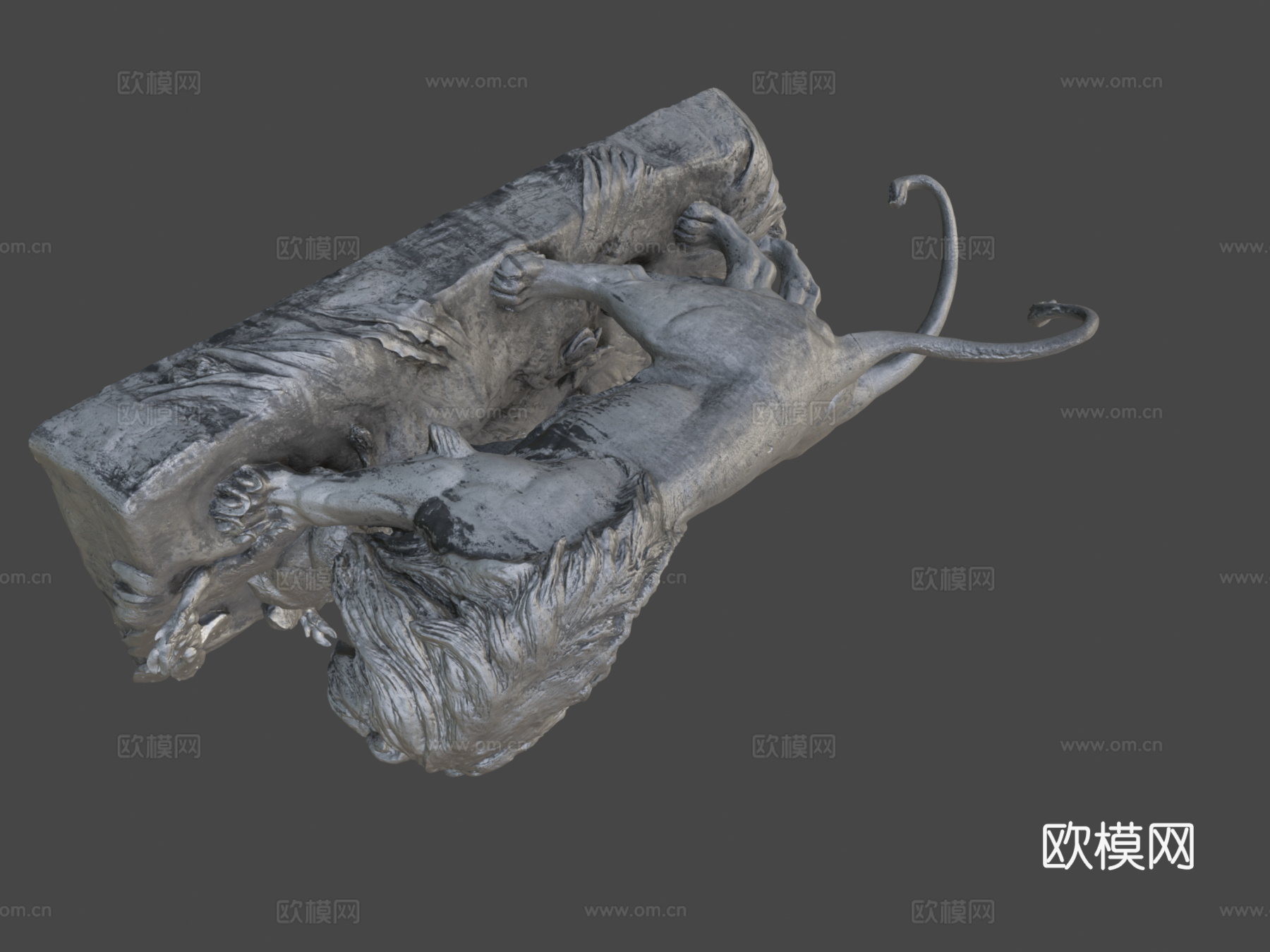 雄狮与母狮3d模型