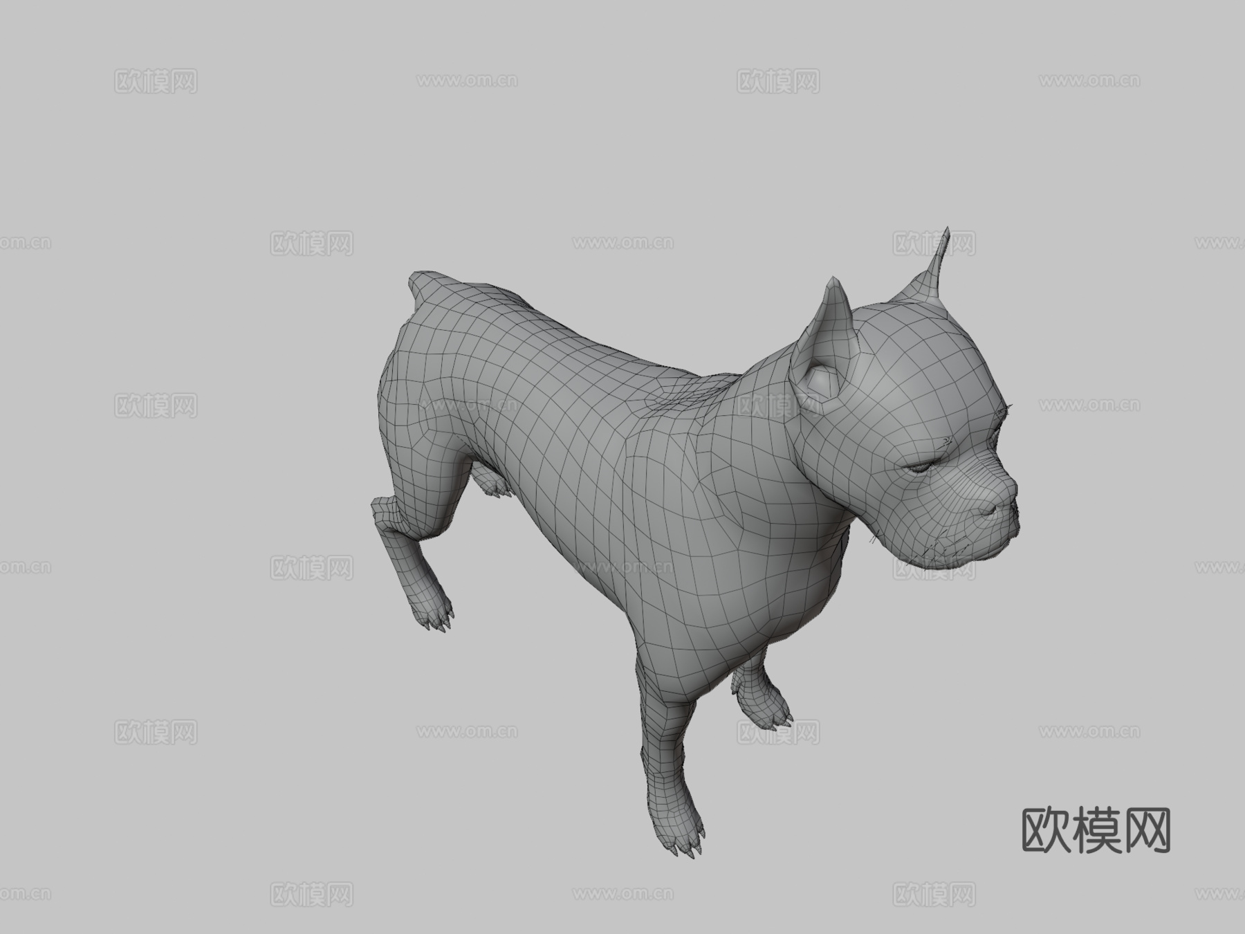 拳师犬3d模型
