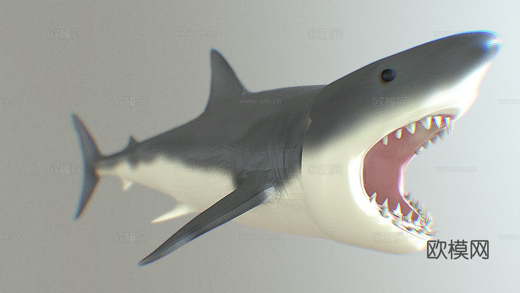 大白鲨3D模型3d模型