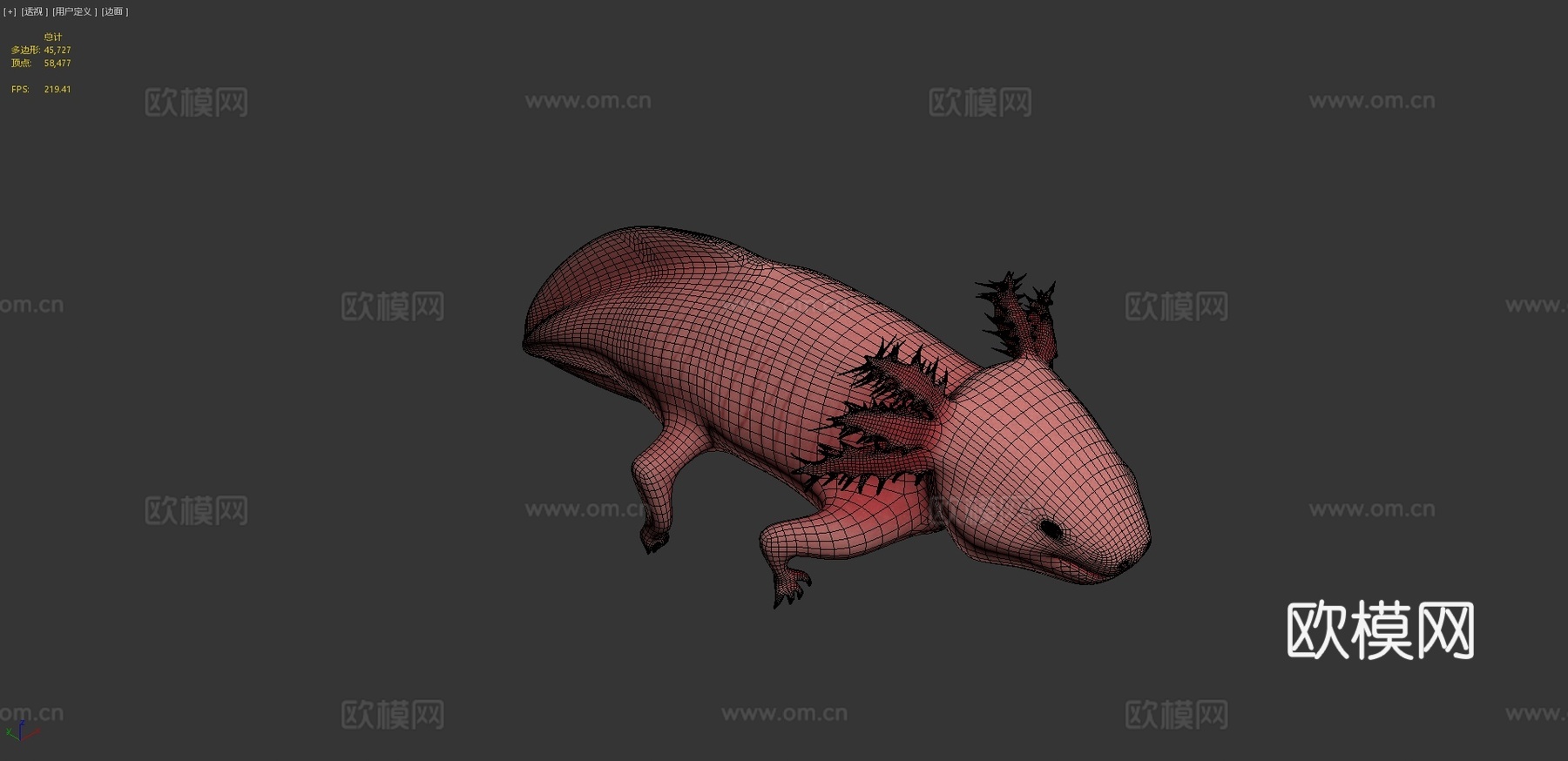 美西螈3d模型