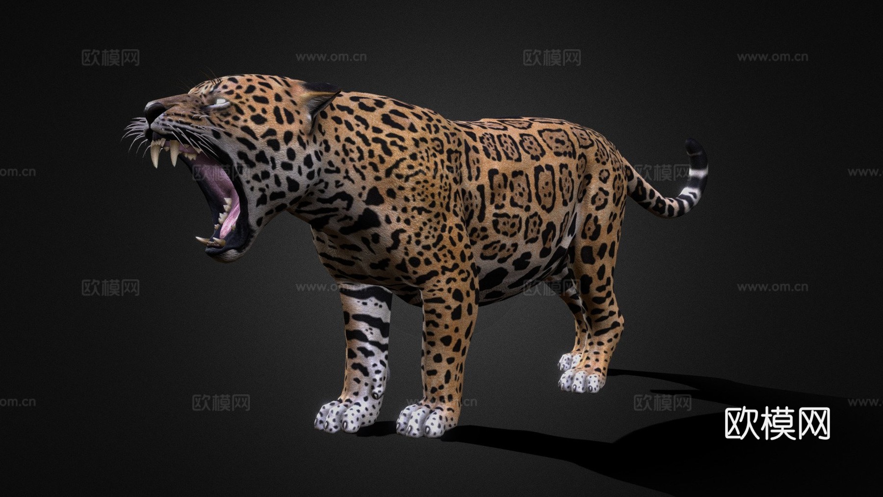 美洲豹3d模型