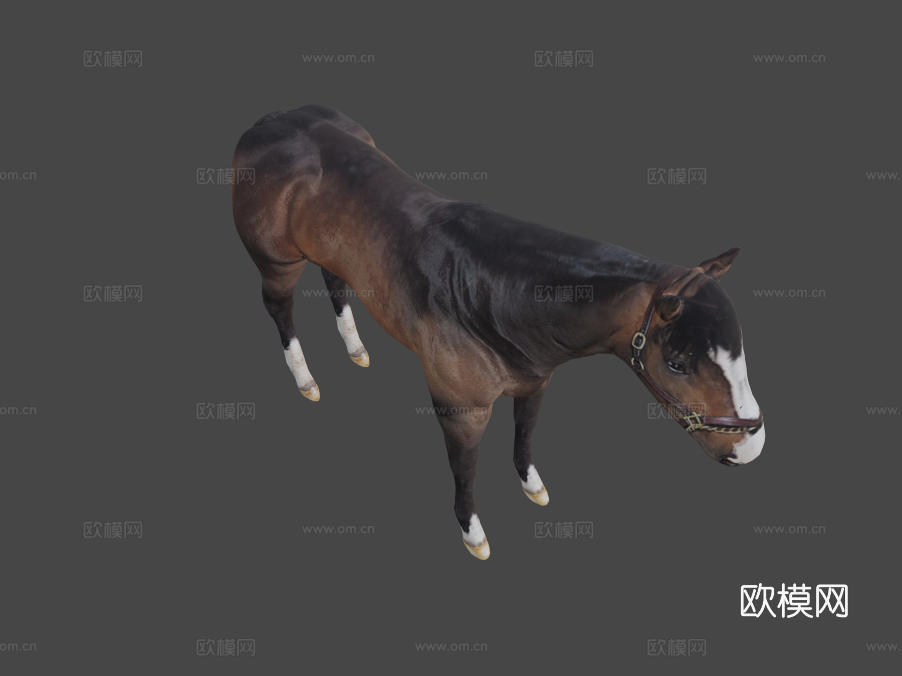 马3d模型