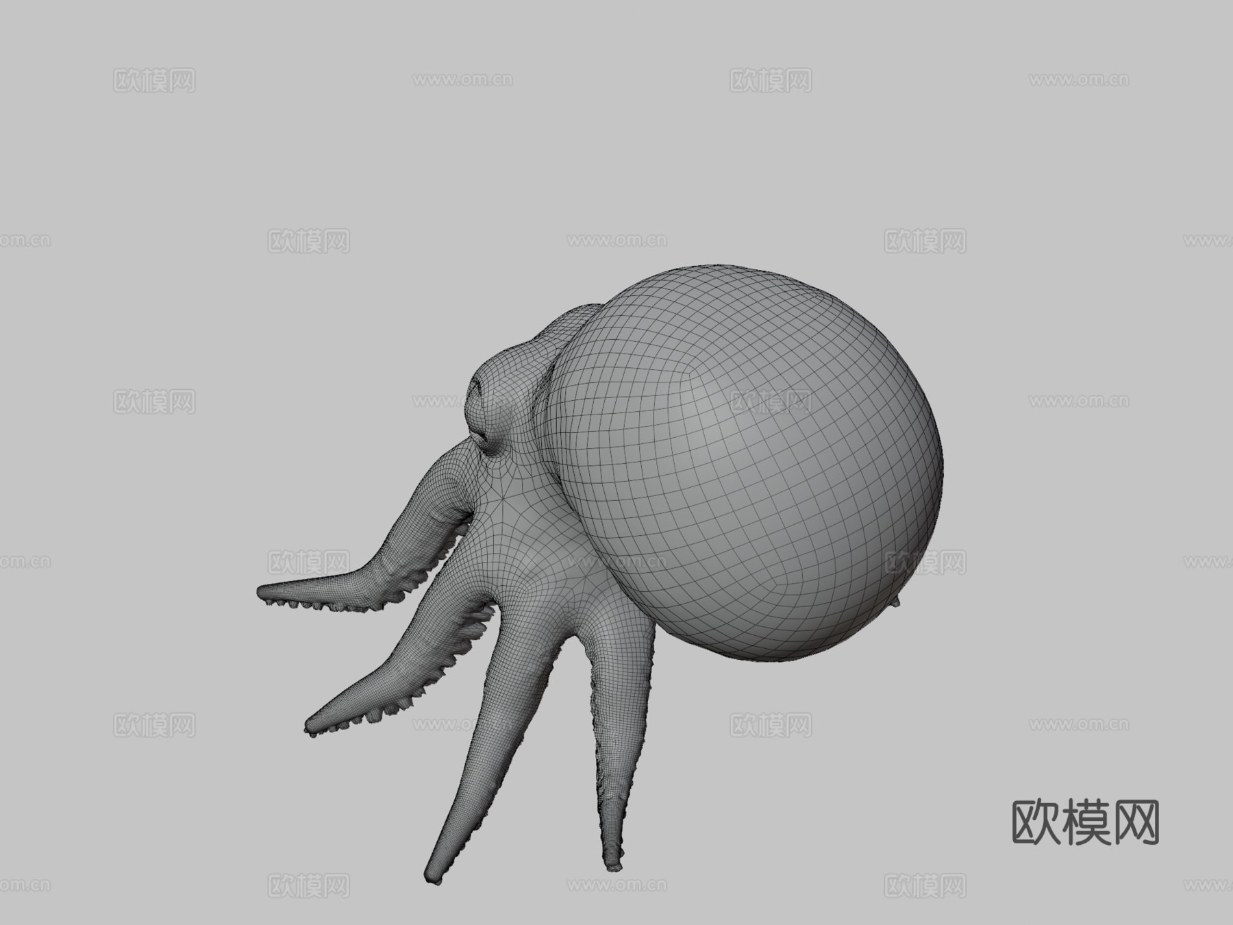 小章鱼3d模型