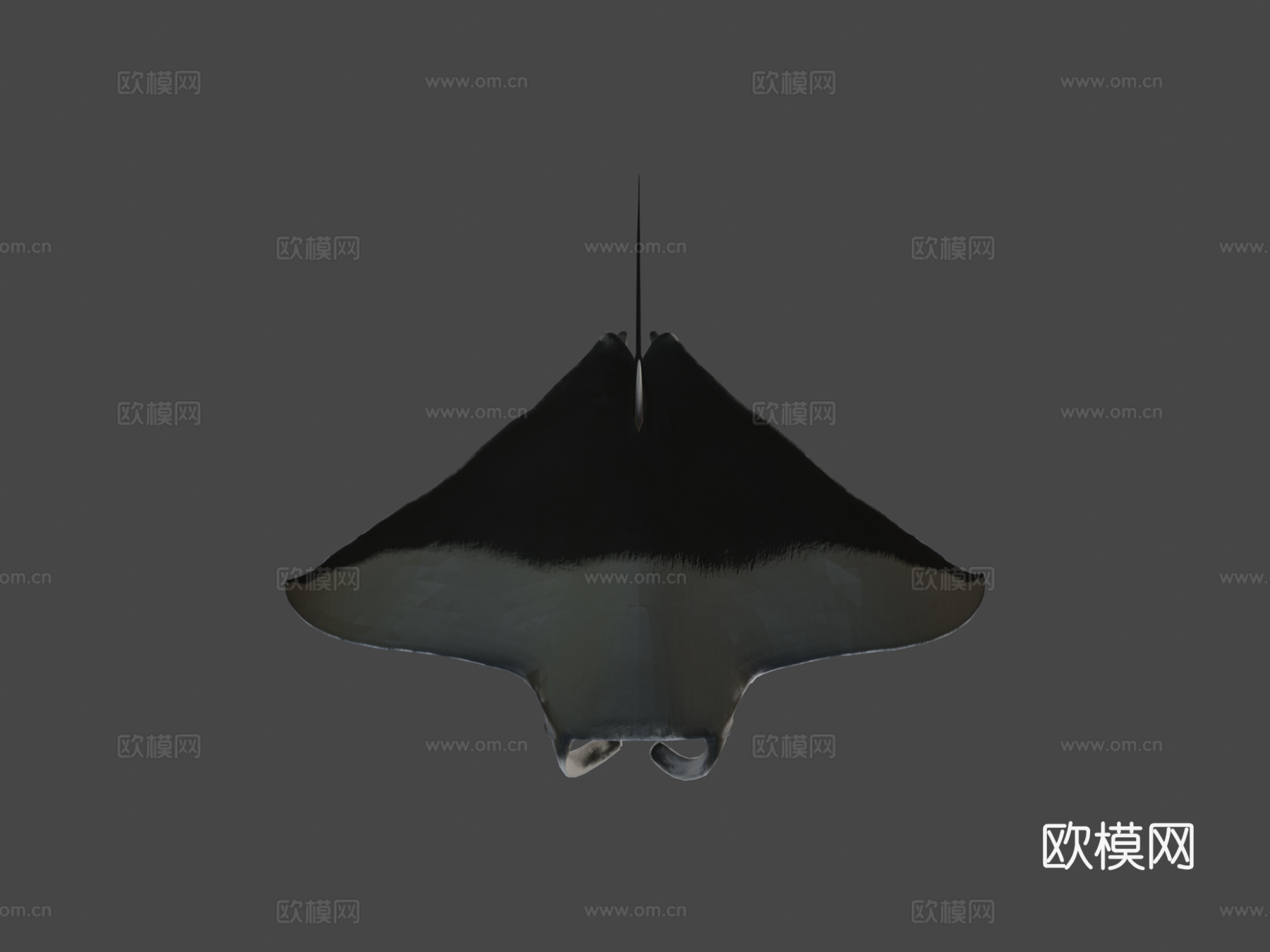 魔鬼鱼3d模型