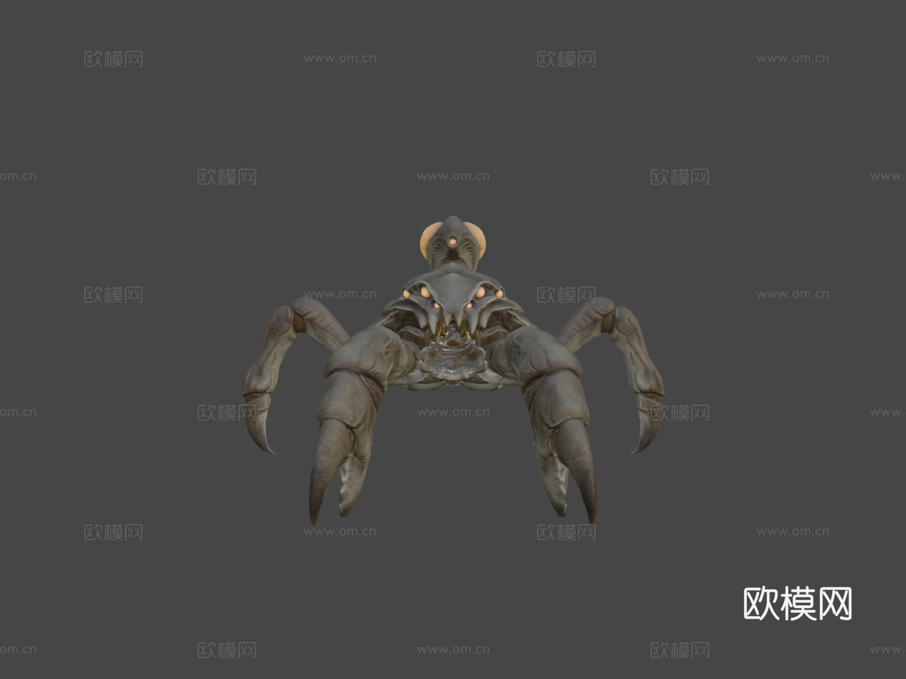 卡西顿动画3d模型