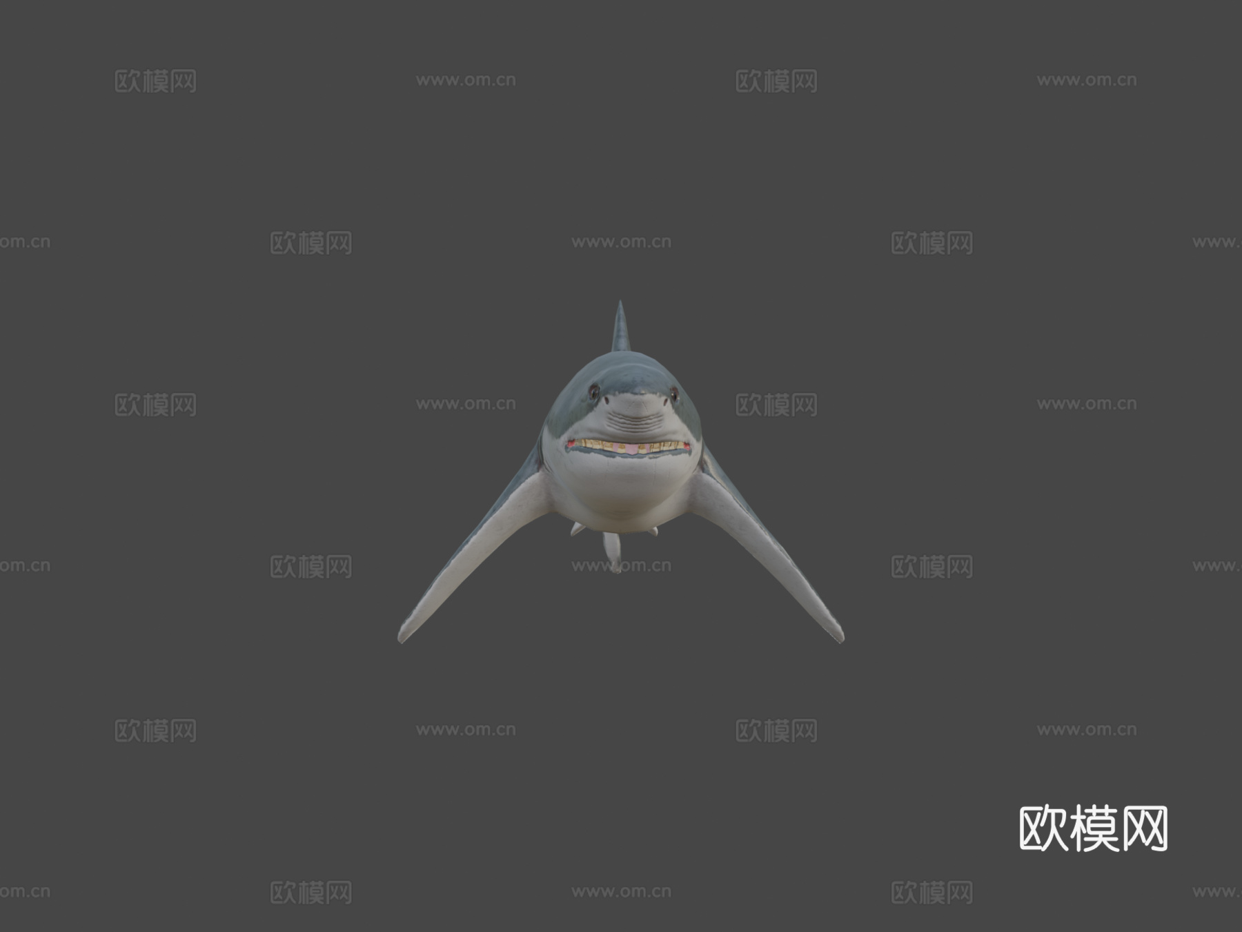 大白鲨3d模型