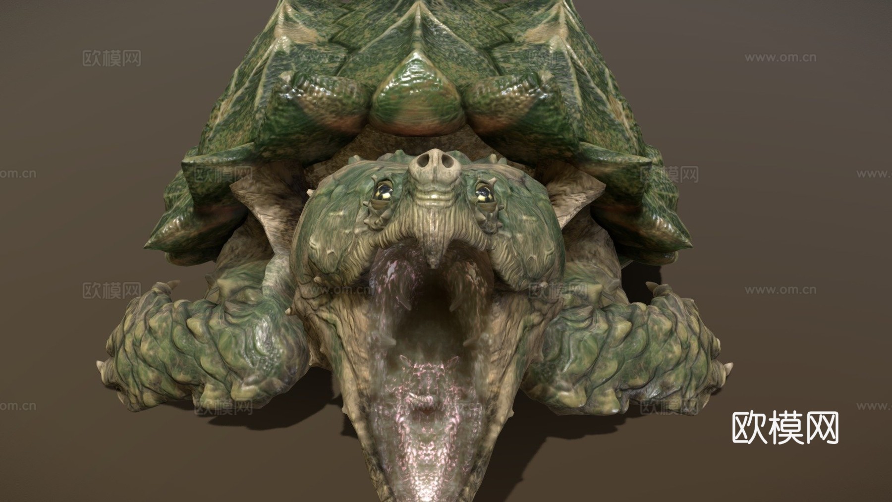 鳄龟3d模型