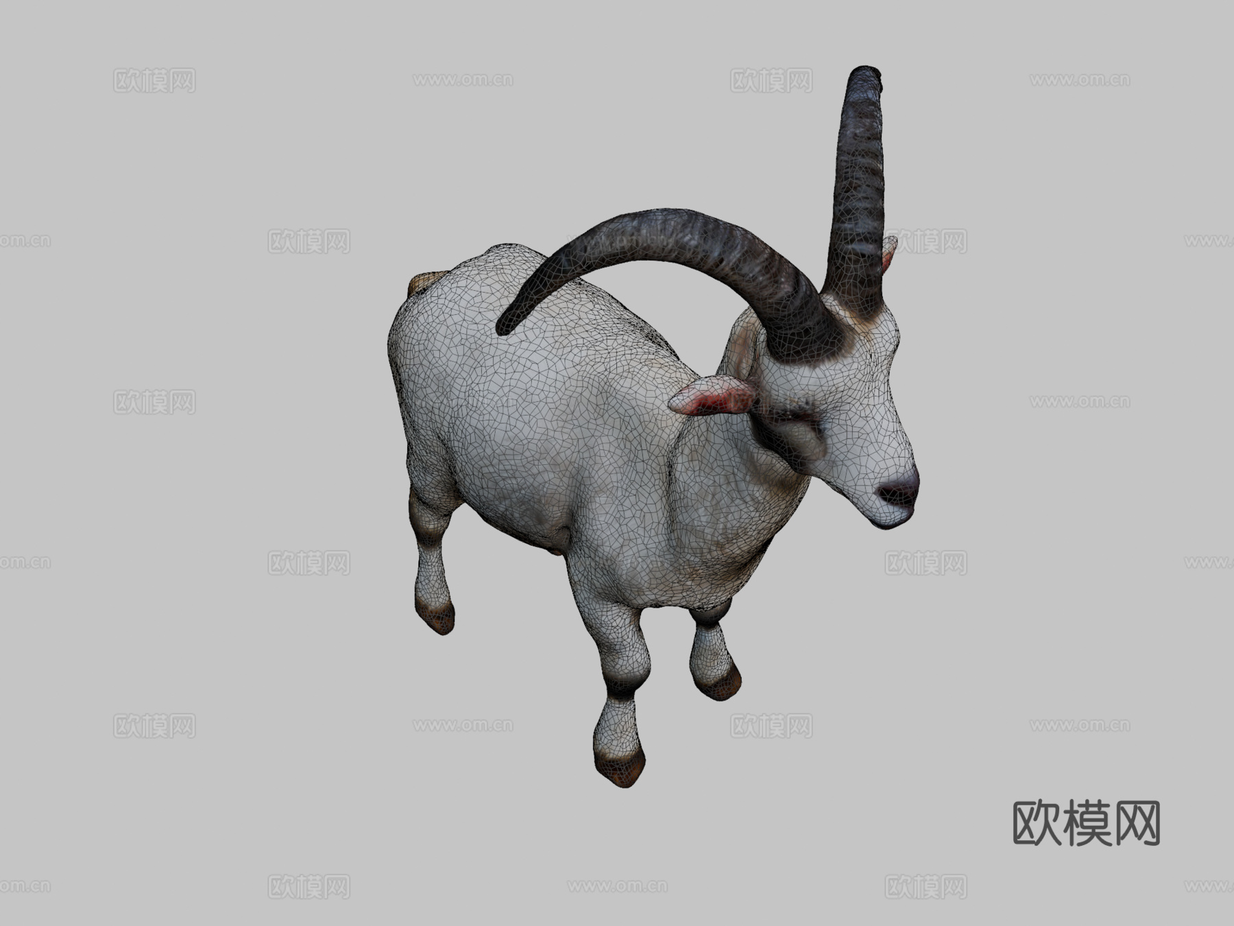 山羊3d模型