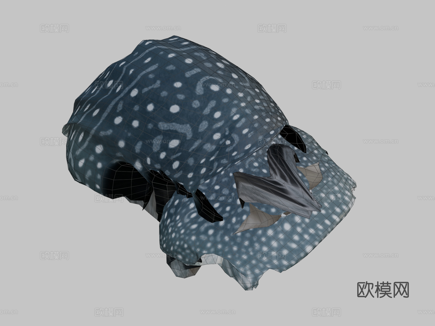 鲸鲨♀3d模型