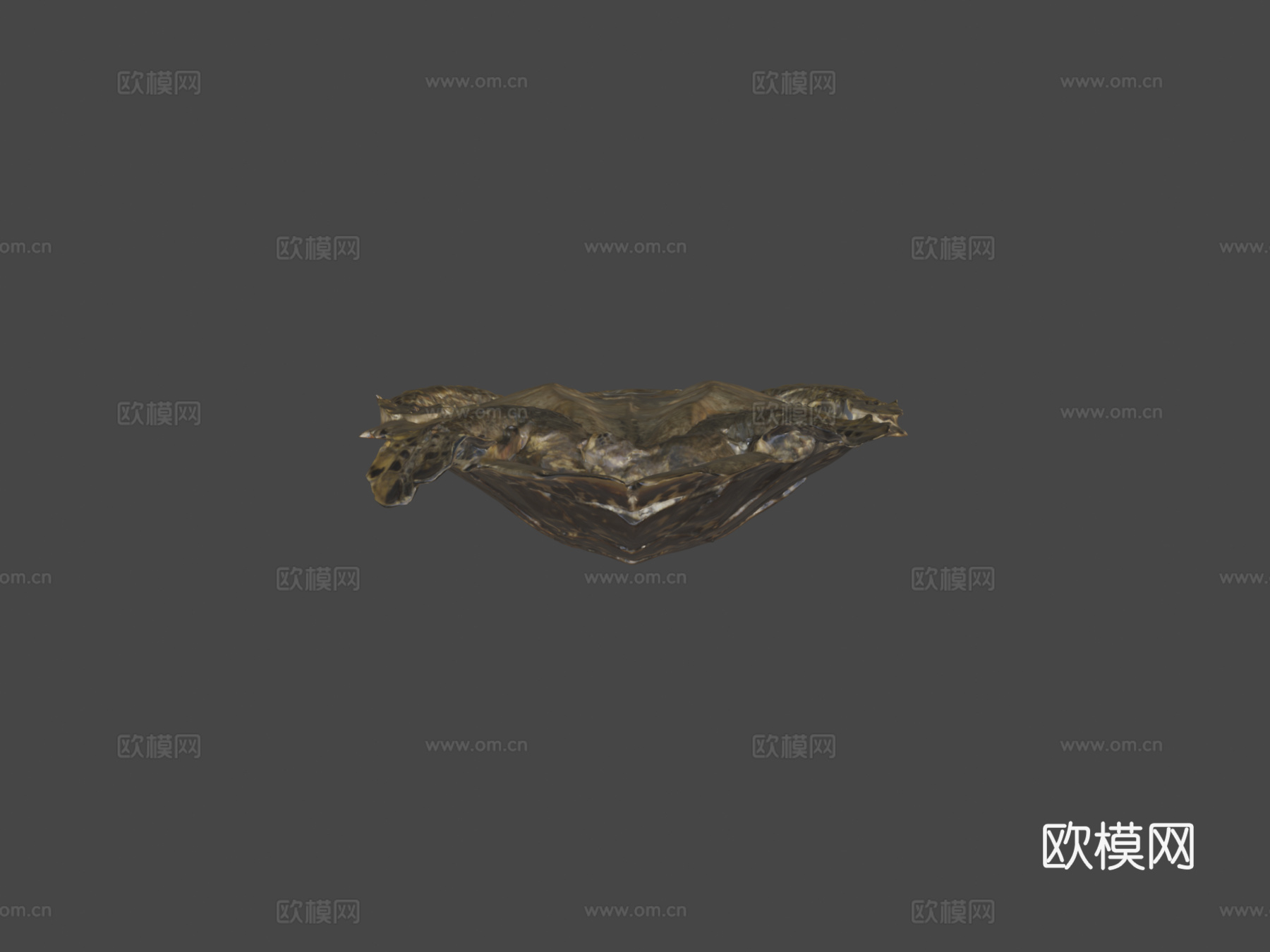 玳瑁海龟3d模型