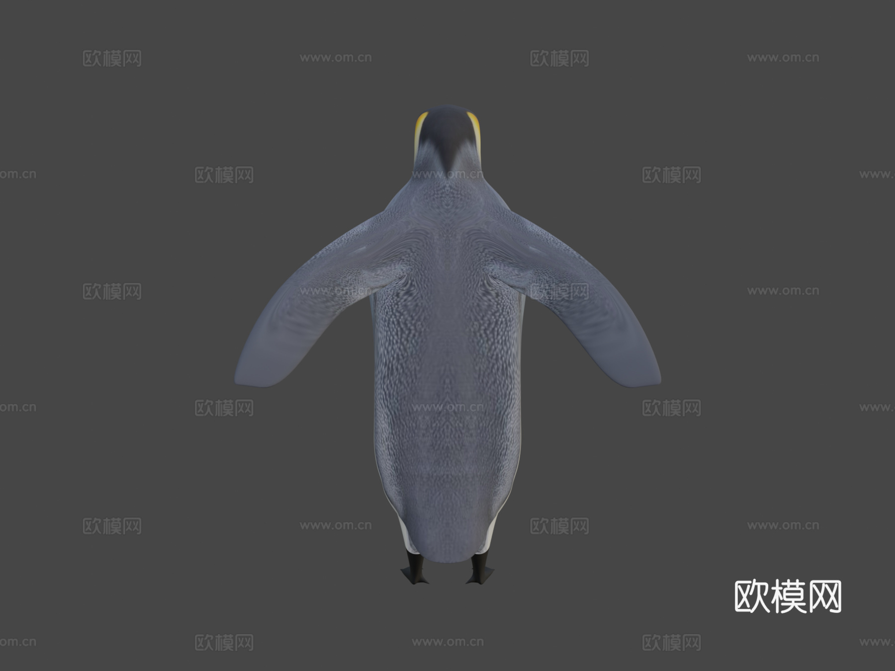帝企鹅3d模型