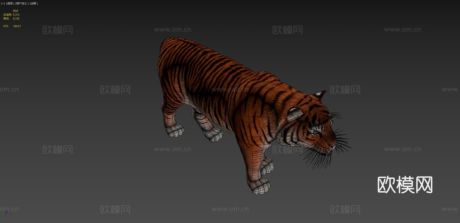 里海虎3d模型