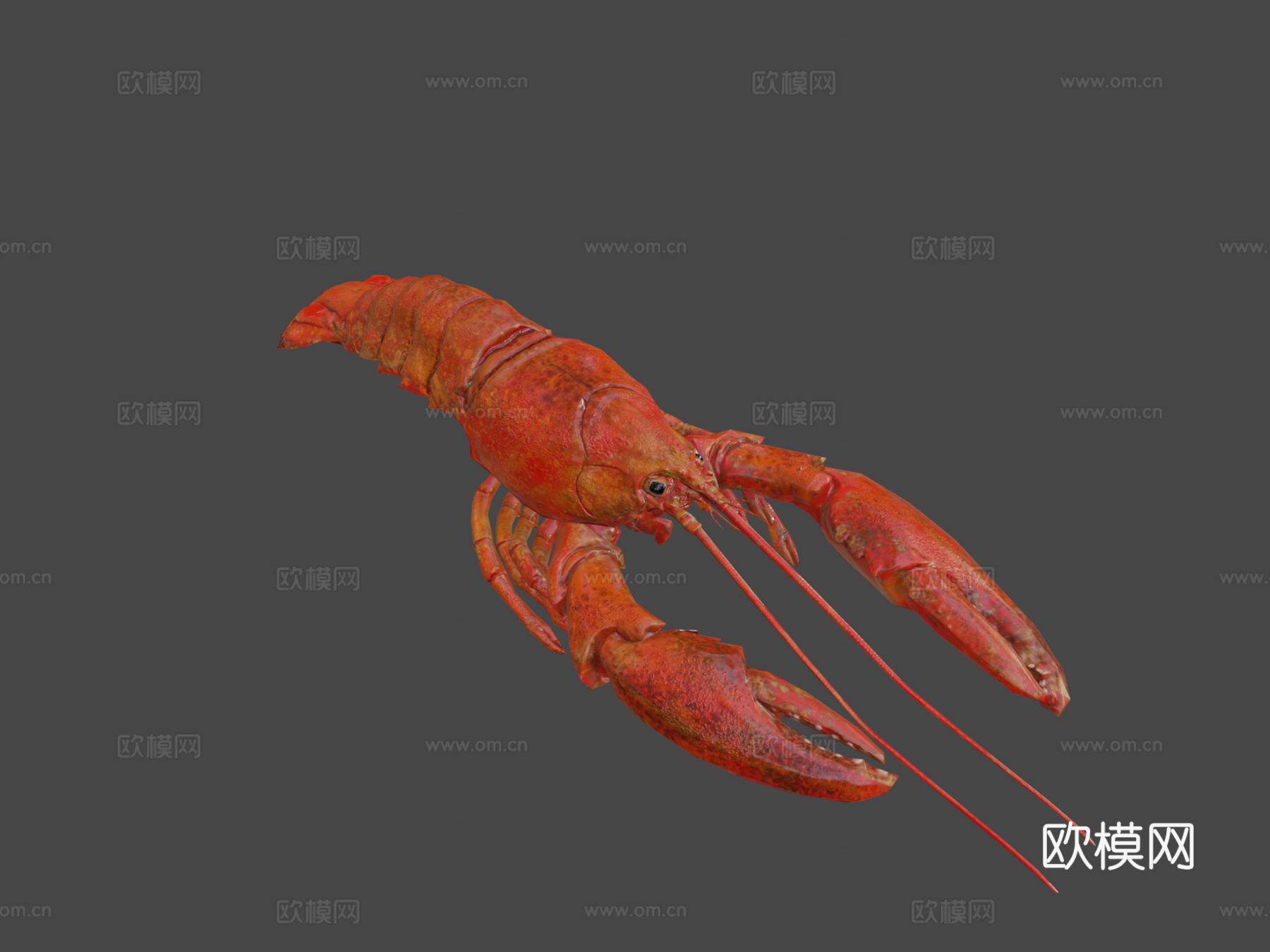 龙虾3d模型