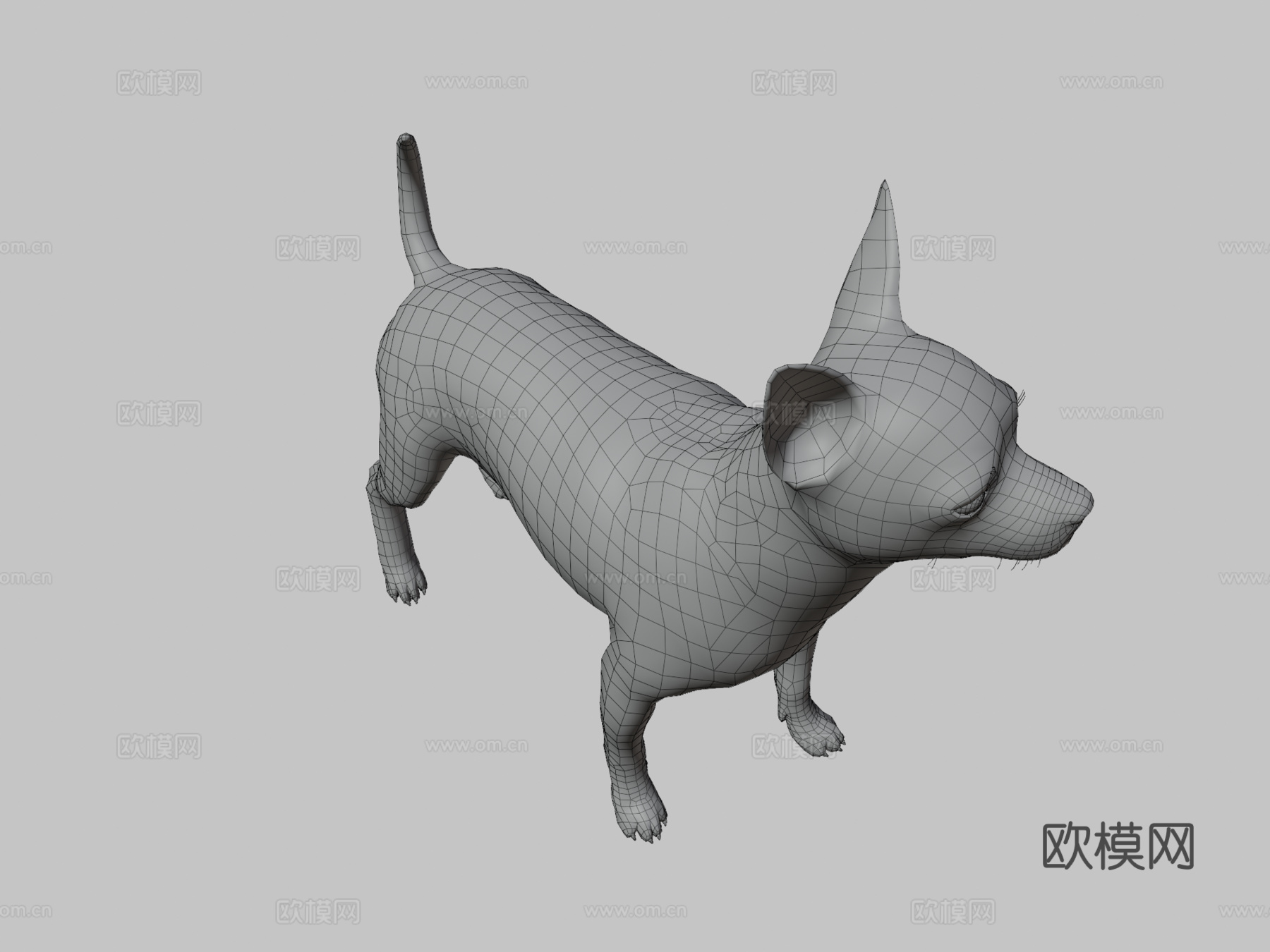 吉娃娃3d模型