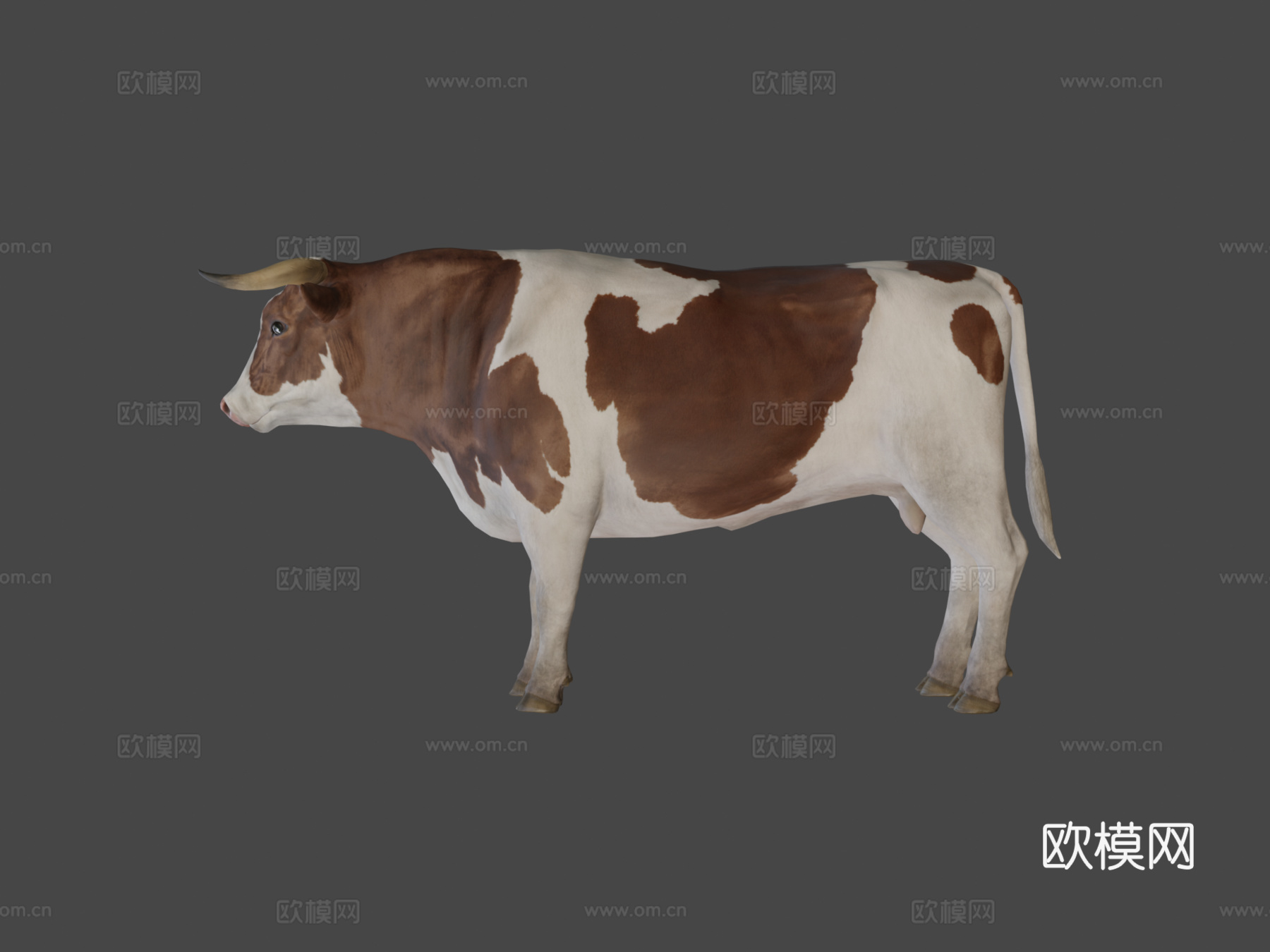 公牛动画3d模型
