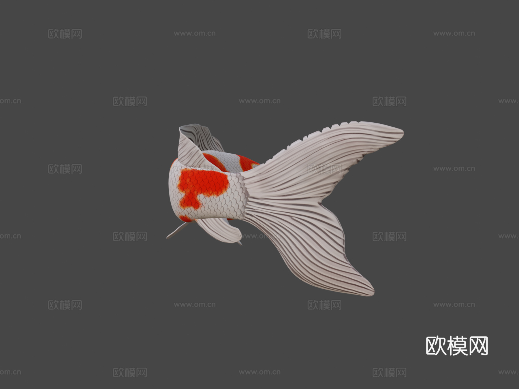 锦鲤3d模型