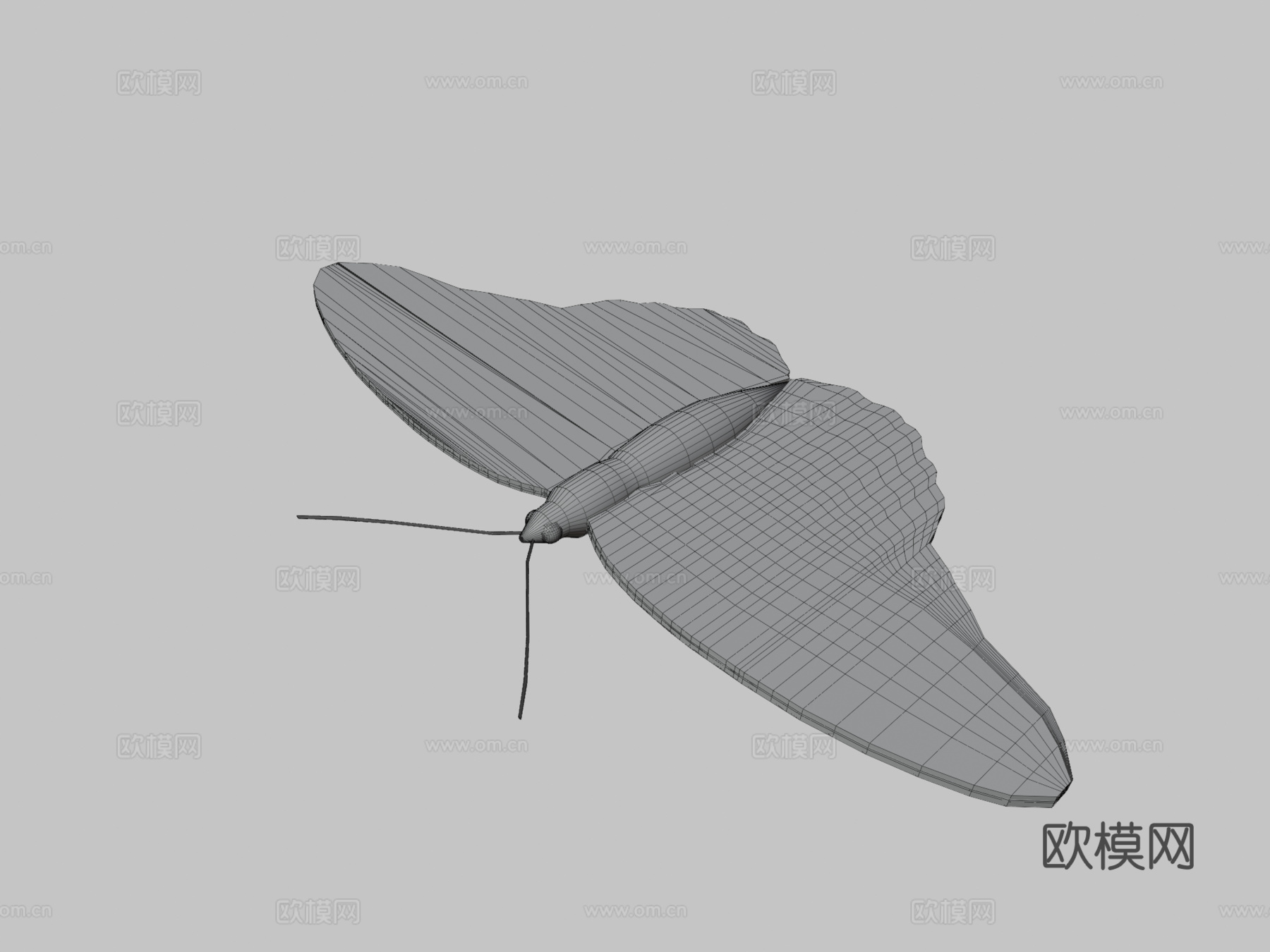 蝴蝶3d模型