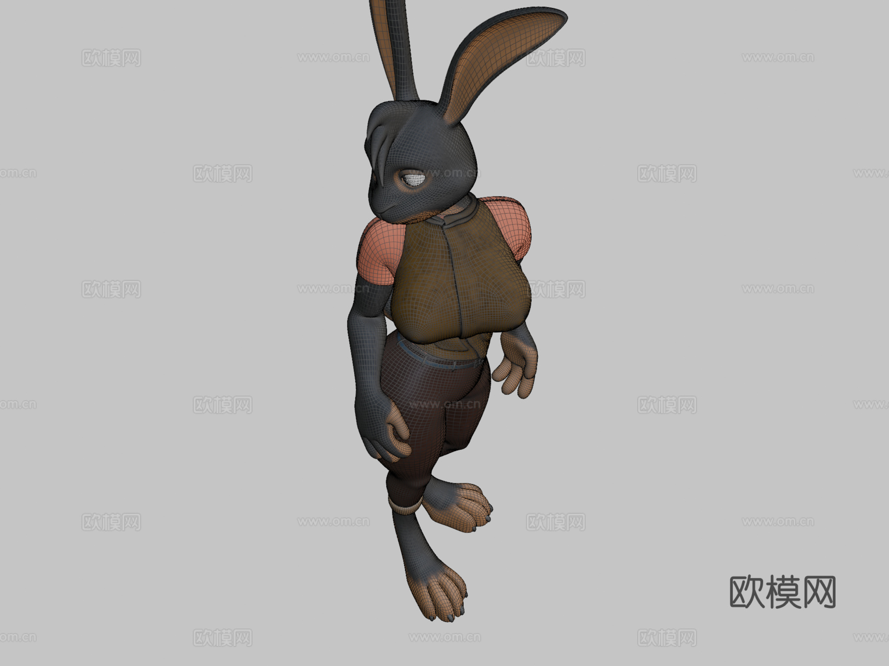 迈尔蒂3d模型