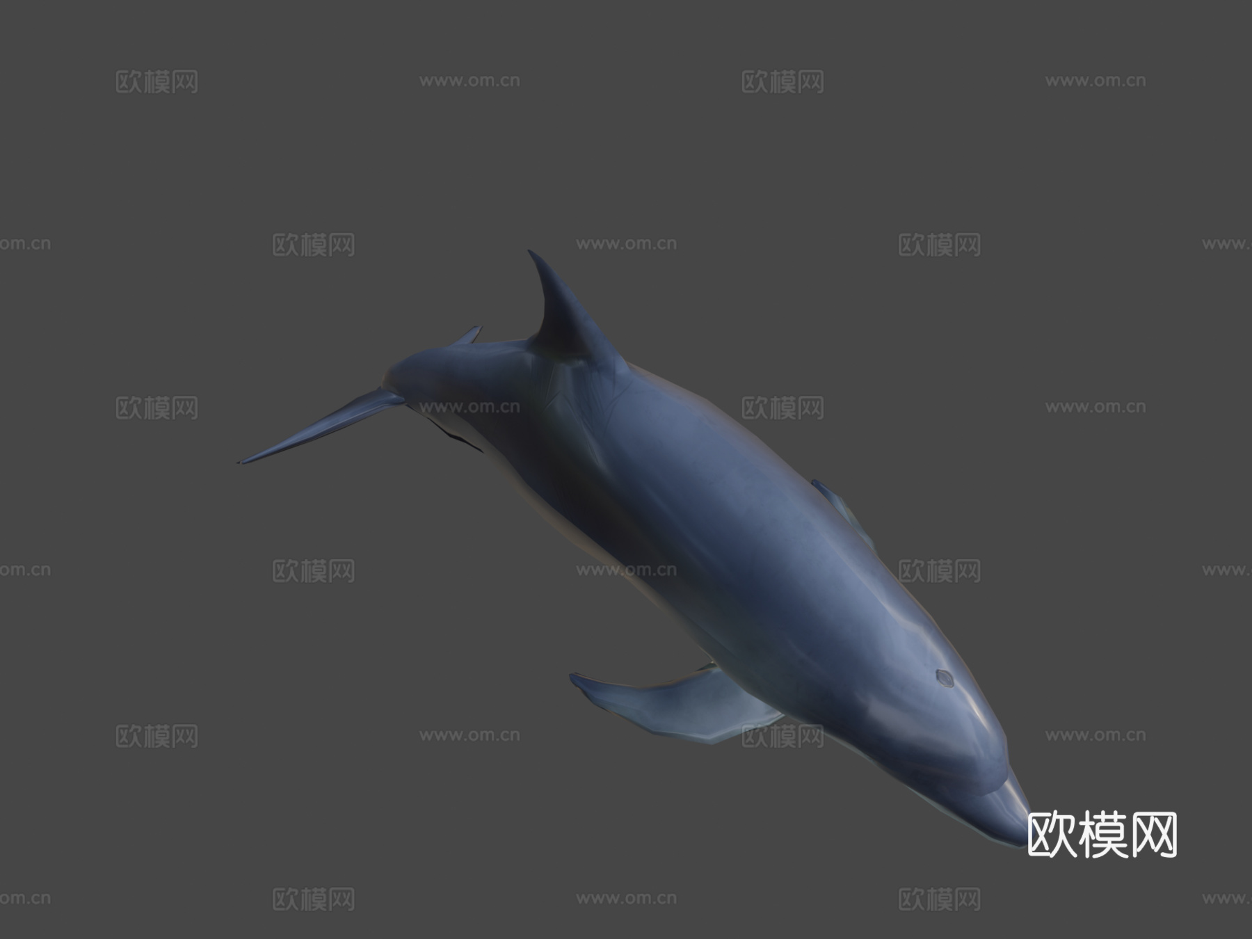 游戏级海豚3d模型