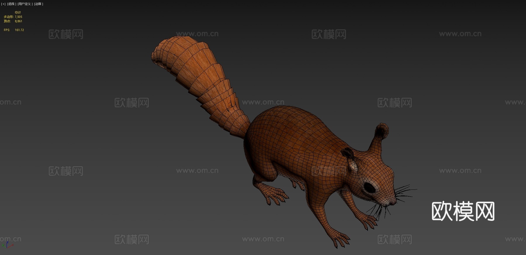 松鼠3d模型