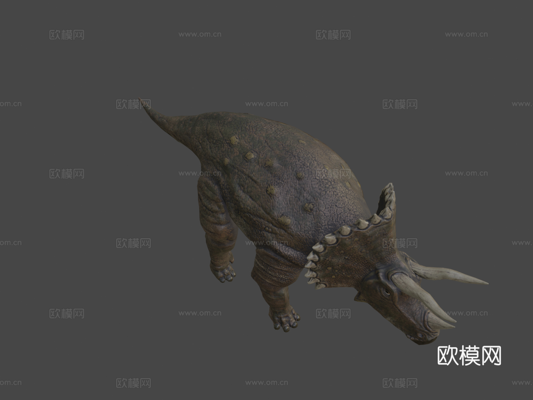 三角龙恐龙3d模型