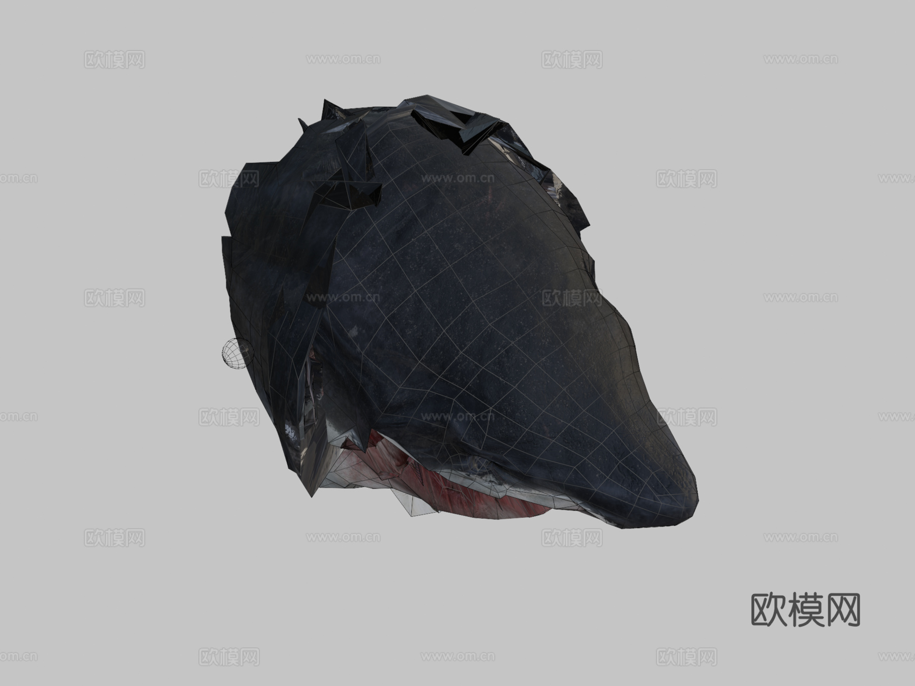 白鲨3d模型