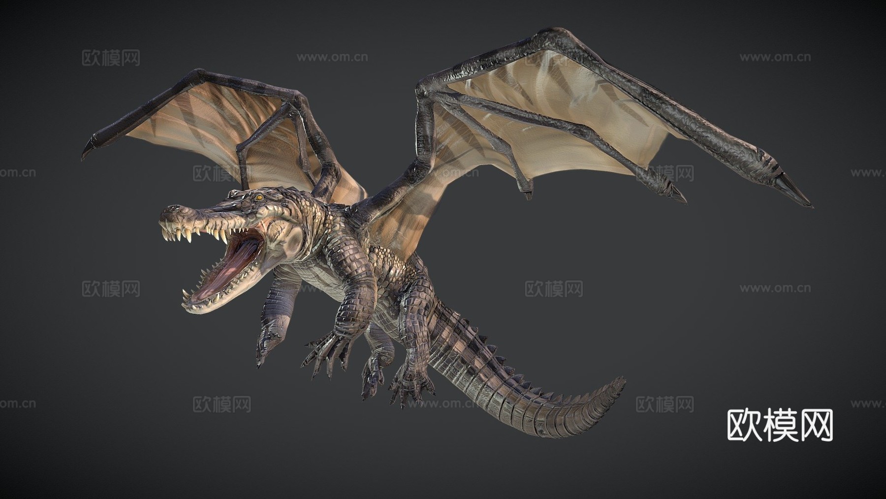 鳄鱼3d模型