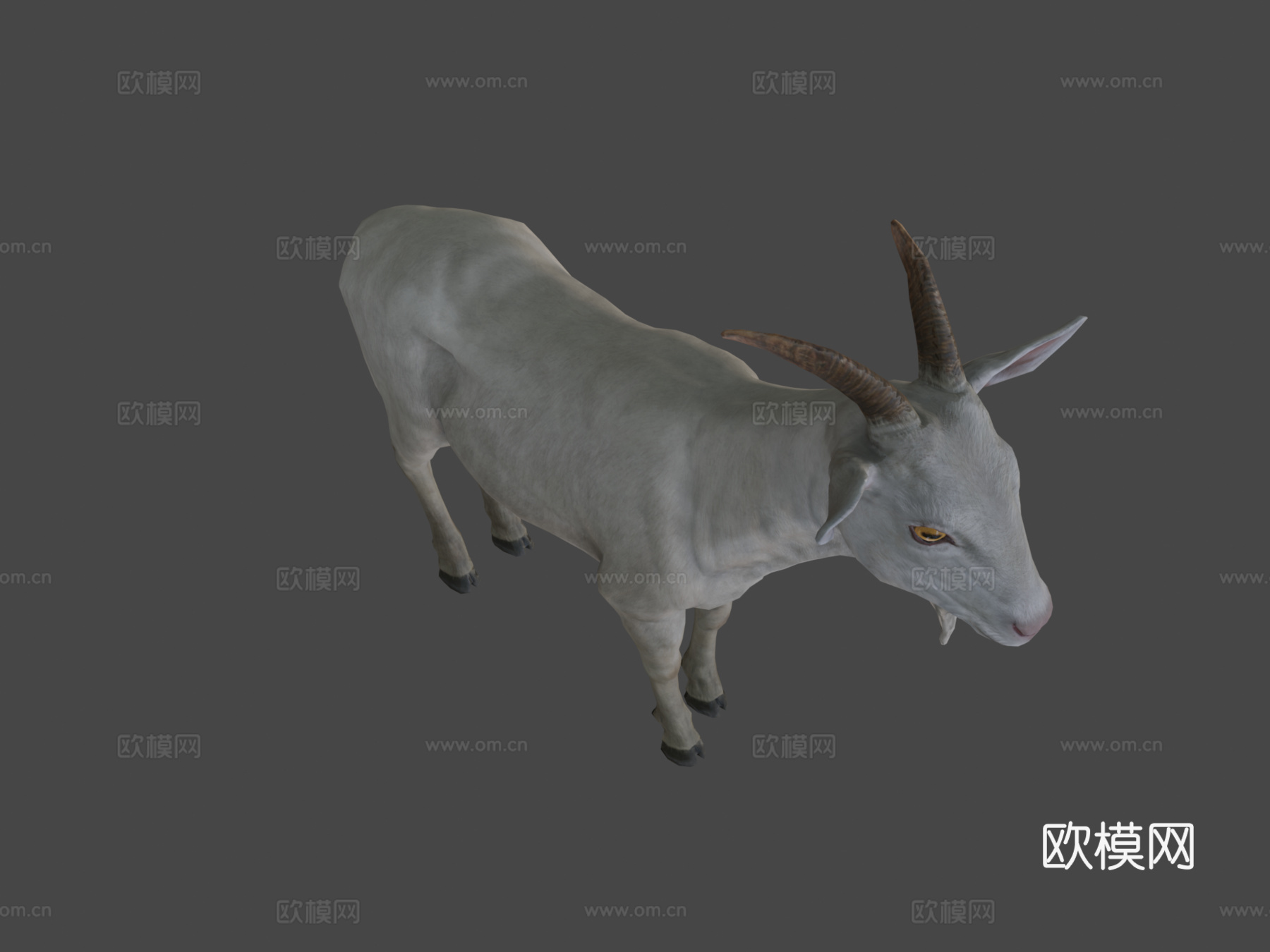 公山羊3d模型